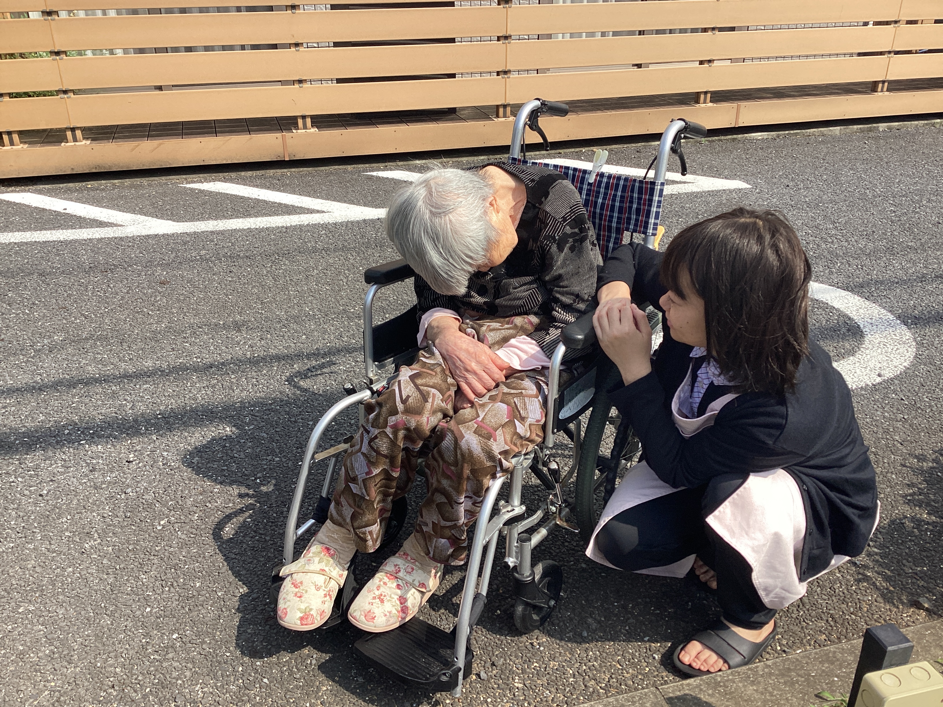 うたた寝誘うお日様🌞