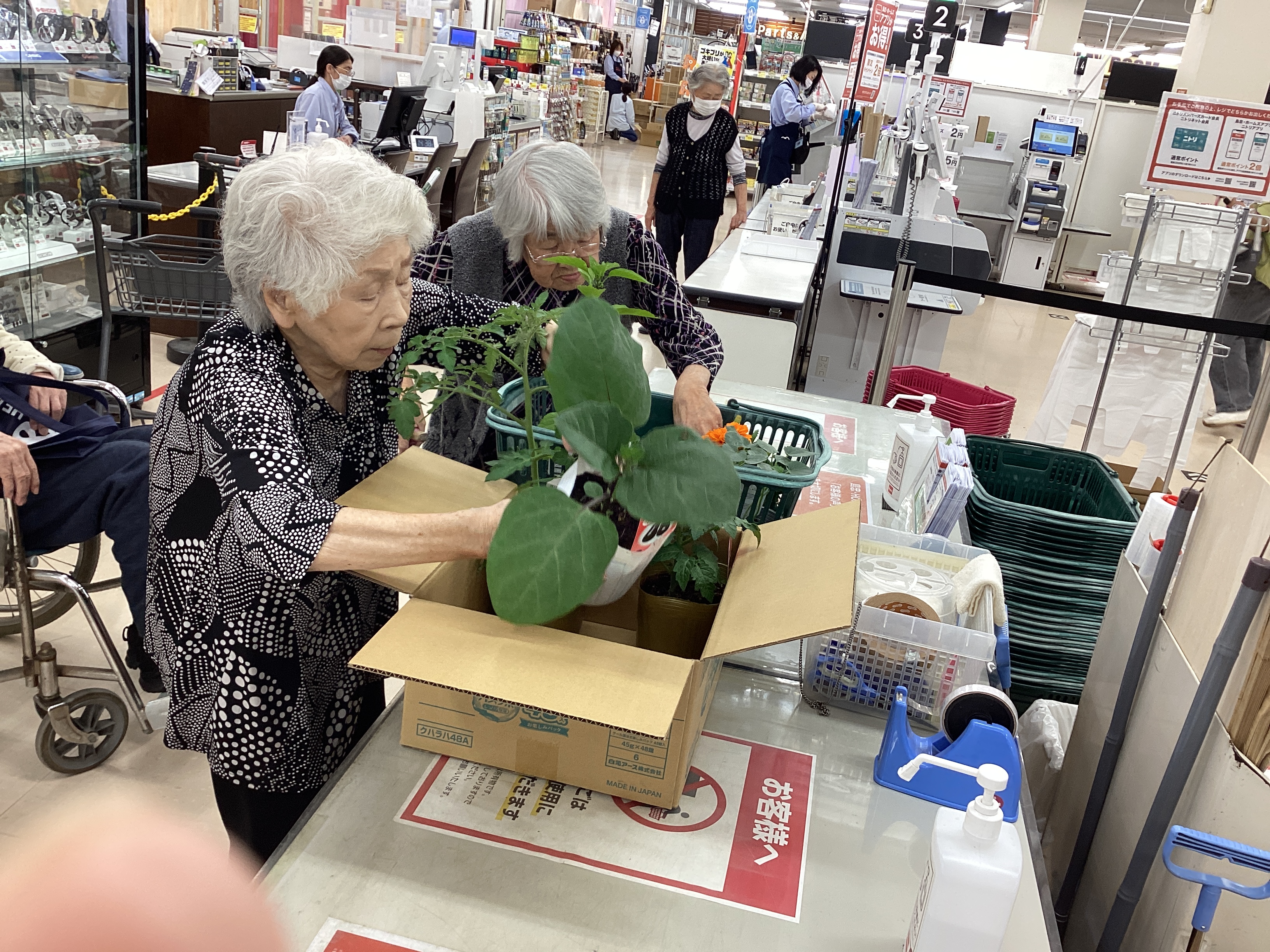 🥬ガーデニング用品のお買い物🥬