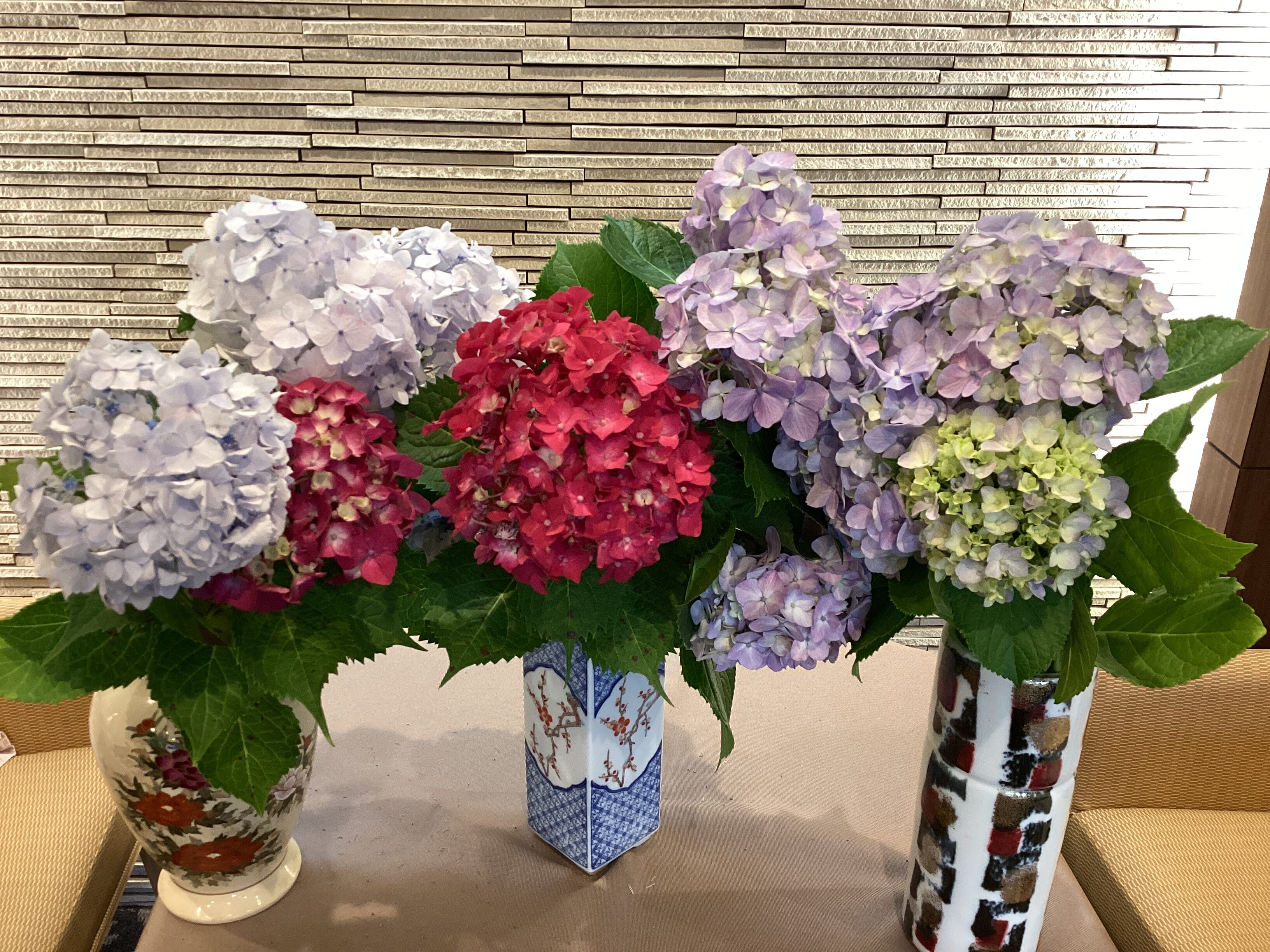 紫陽花と🤗