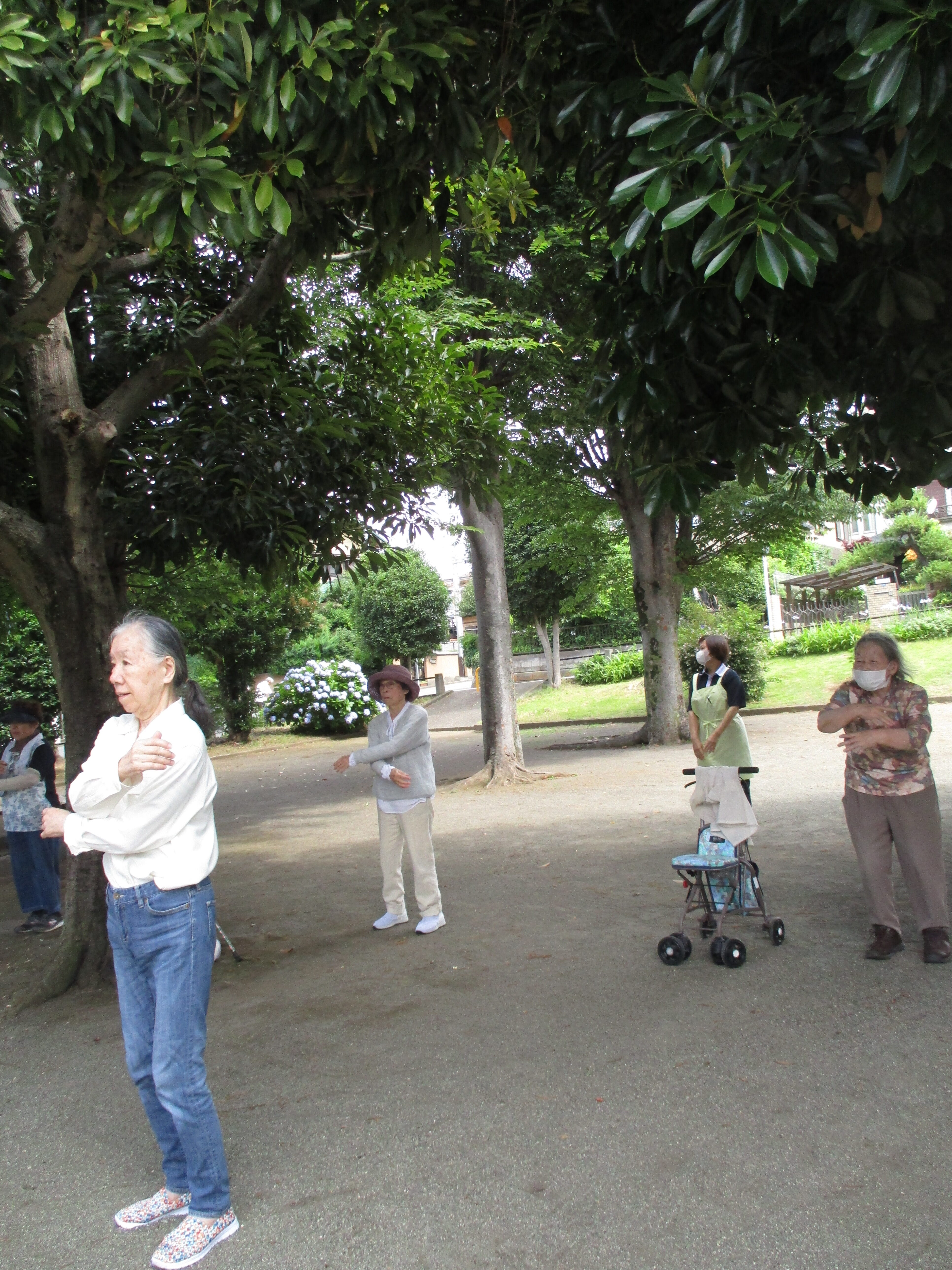 公園体操参加