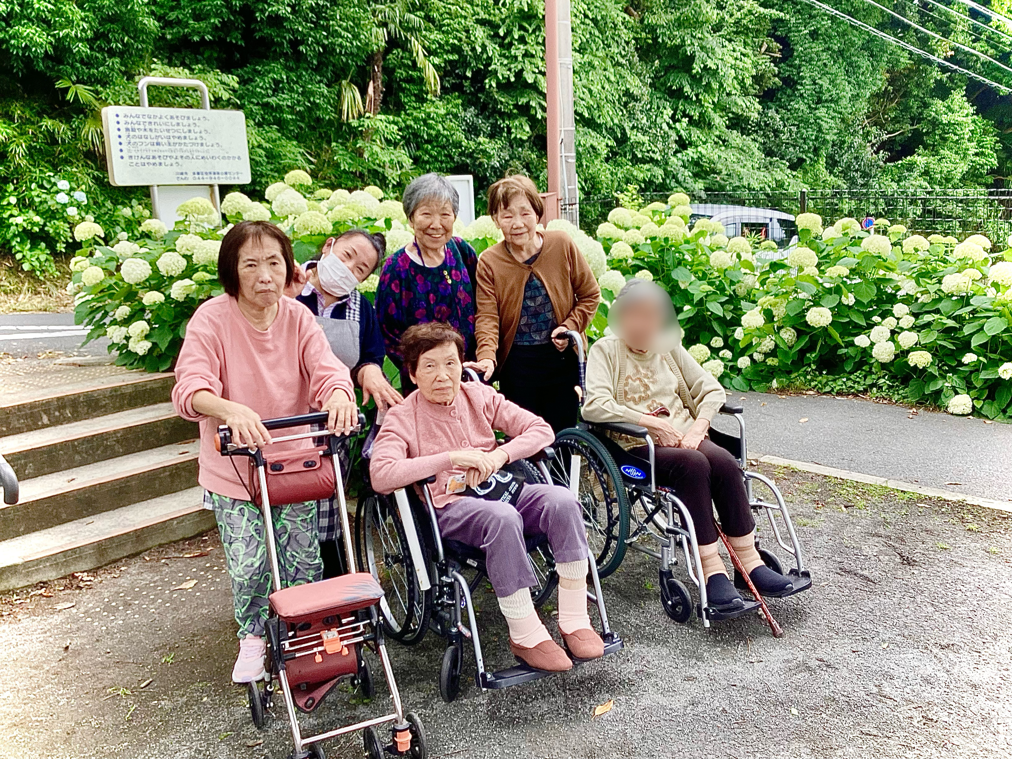 「季節を感じるひととき〜紫陽花ドライブに行ってきました〜」