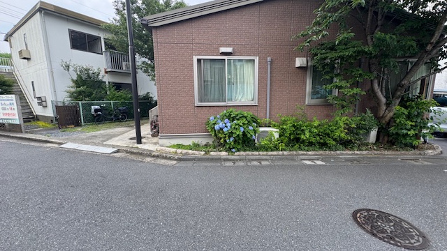 紫陽花と一緒に
