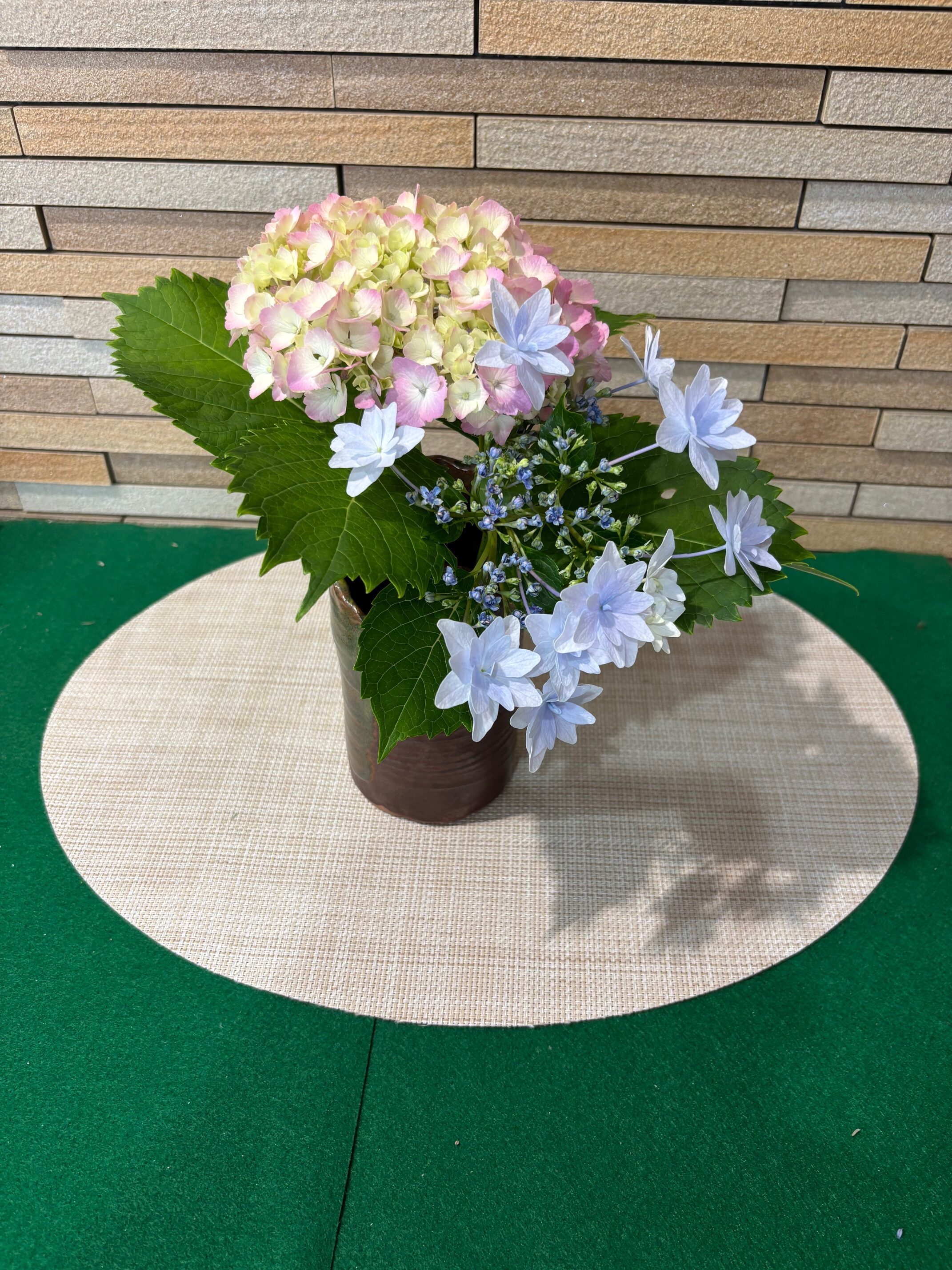 6月のイベントカレンダーを更新いたしました