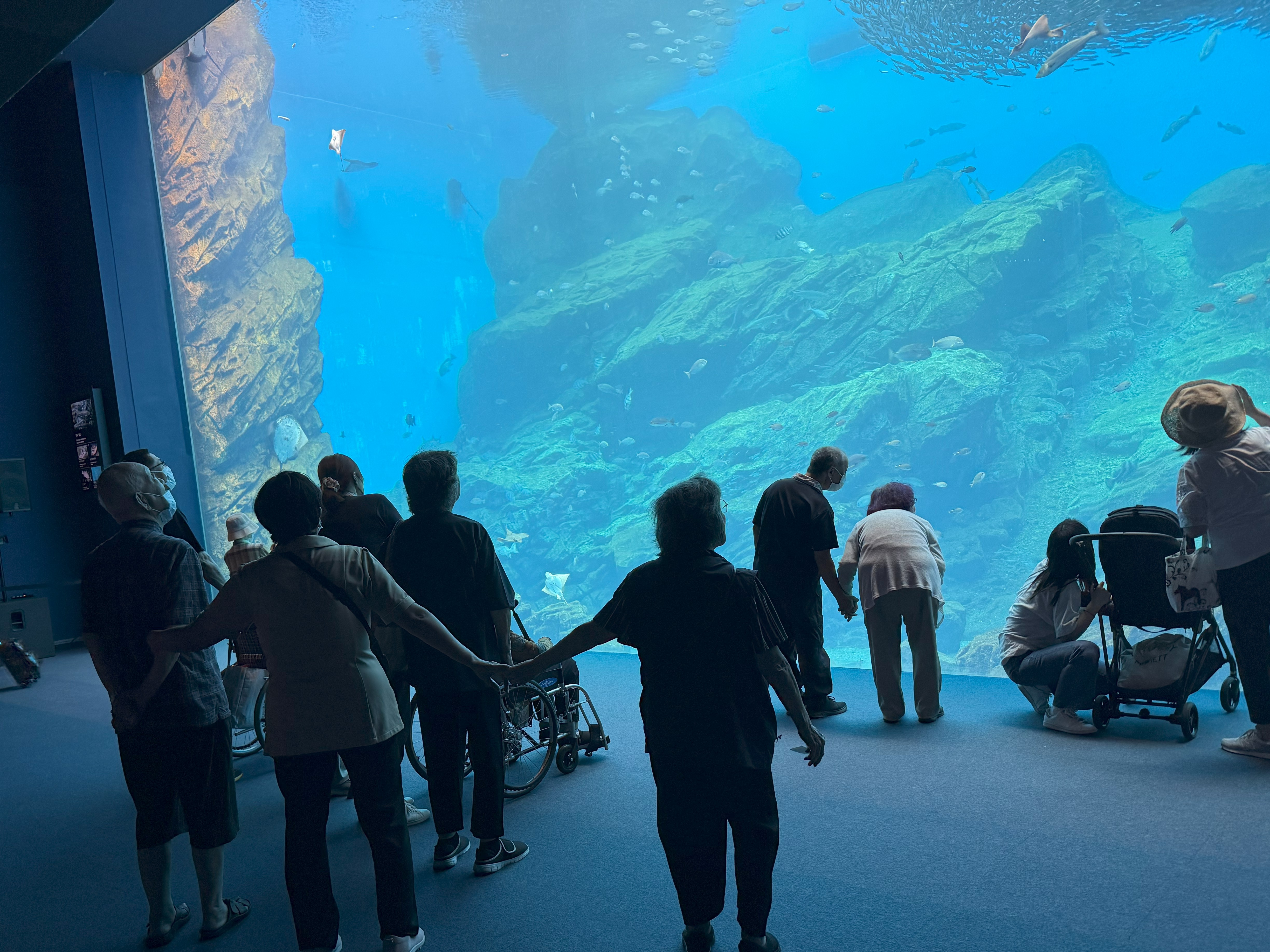 【外出レク】仙台うみの杜水族館へ行ってきました！！