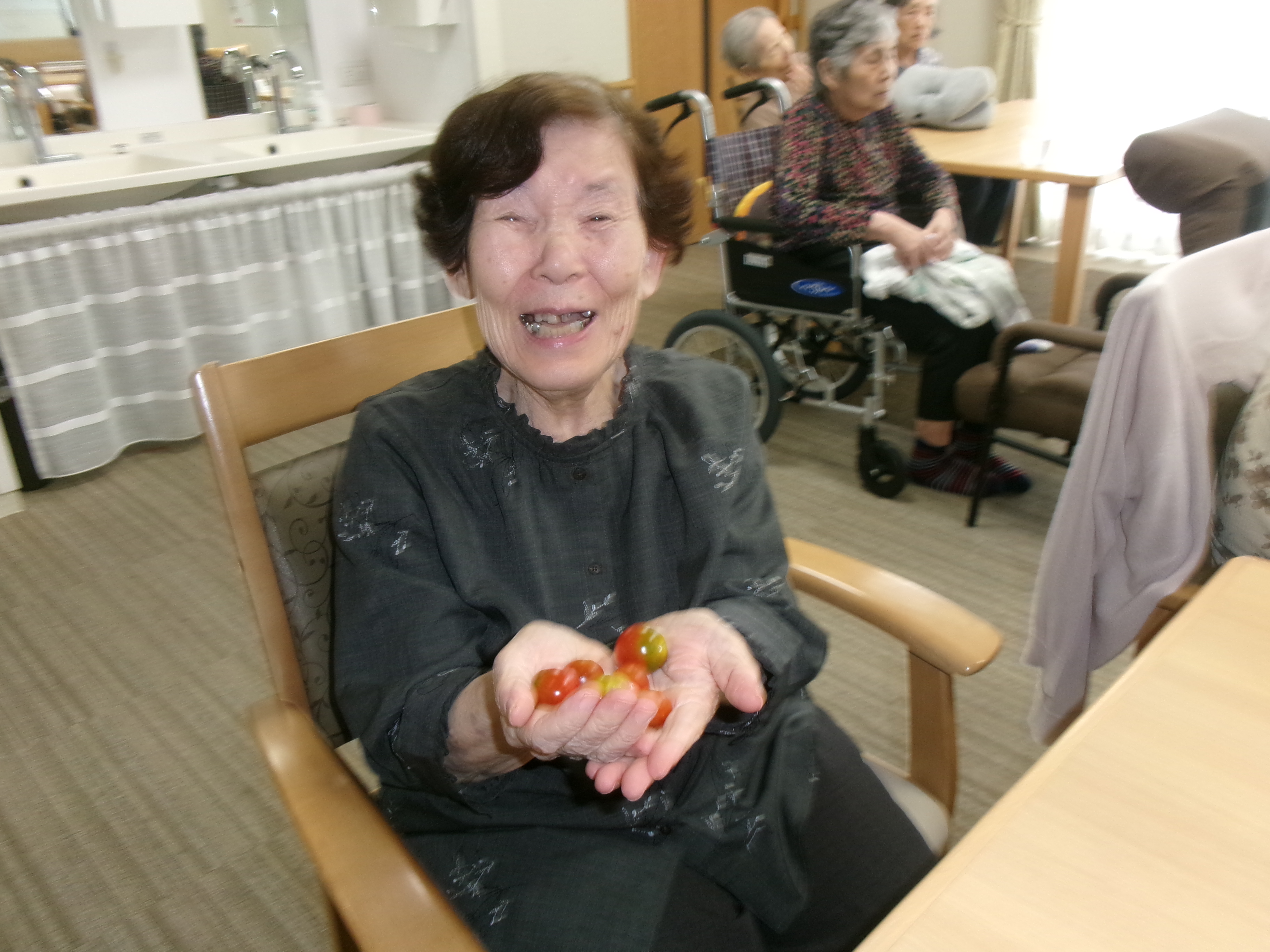 菜園トマトのお味は？
