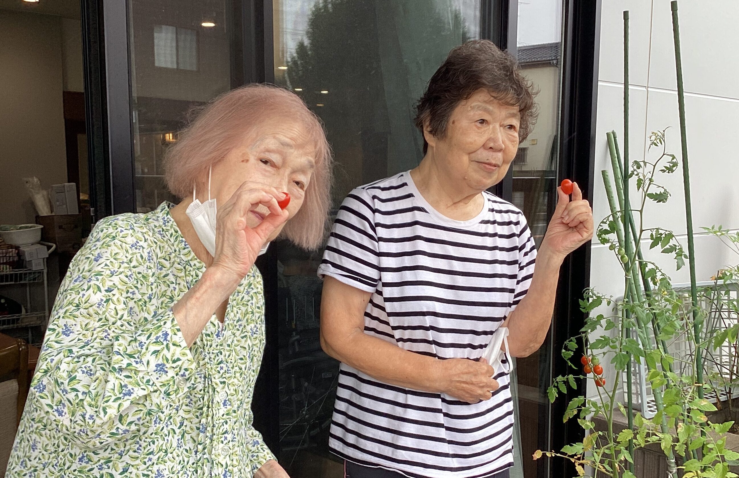 収穫～(^^♪　あおき苑園芸部