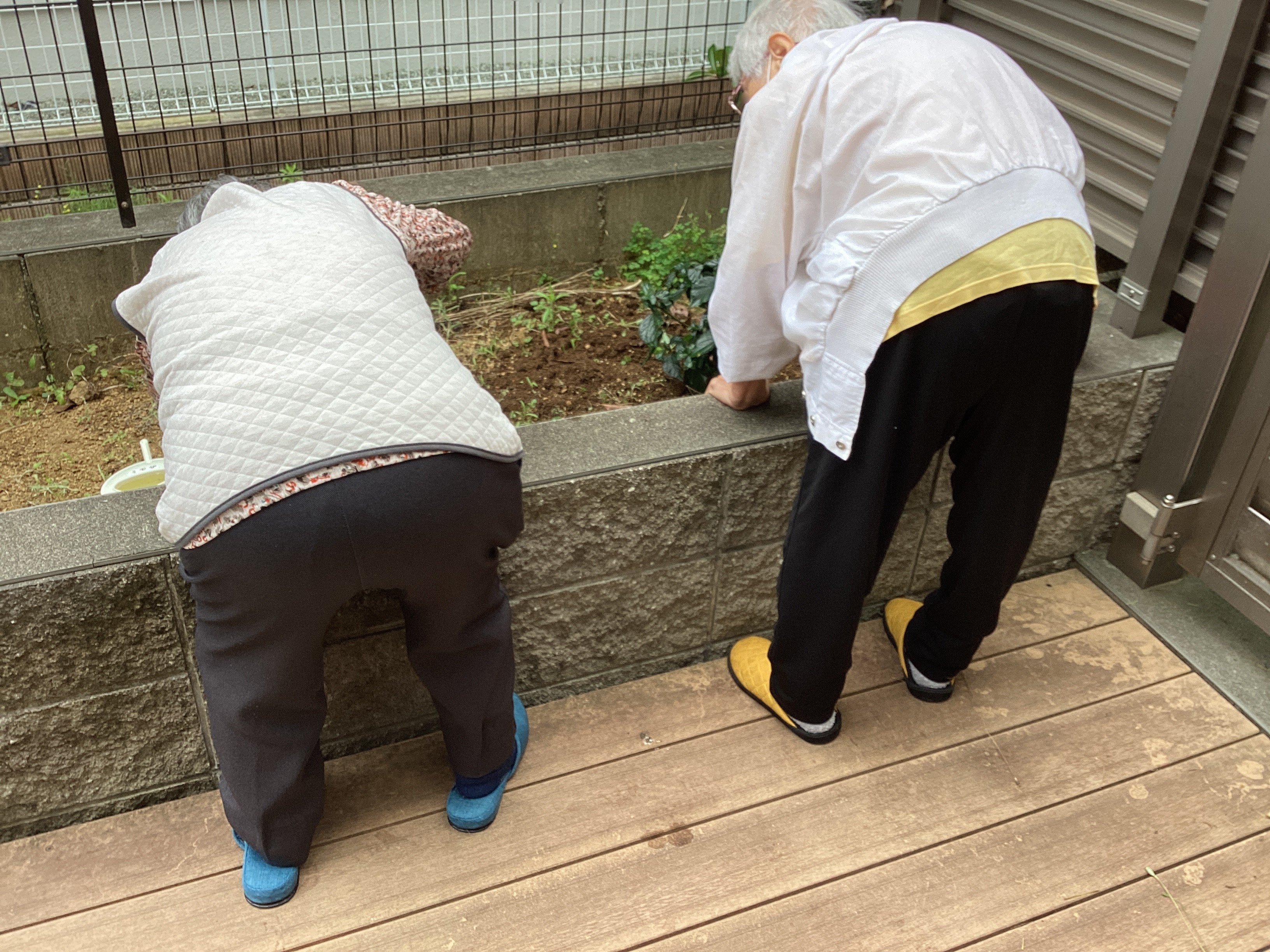日々是好日②今日も咲いたね(*˘︶˘*).｡.:*♡