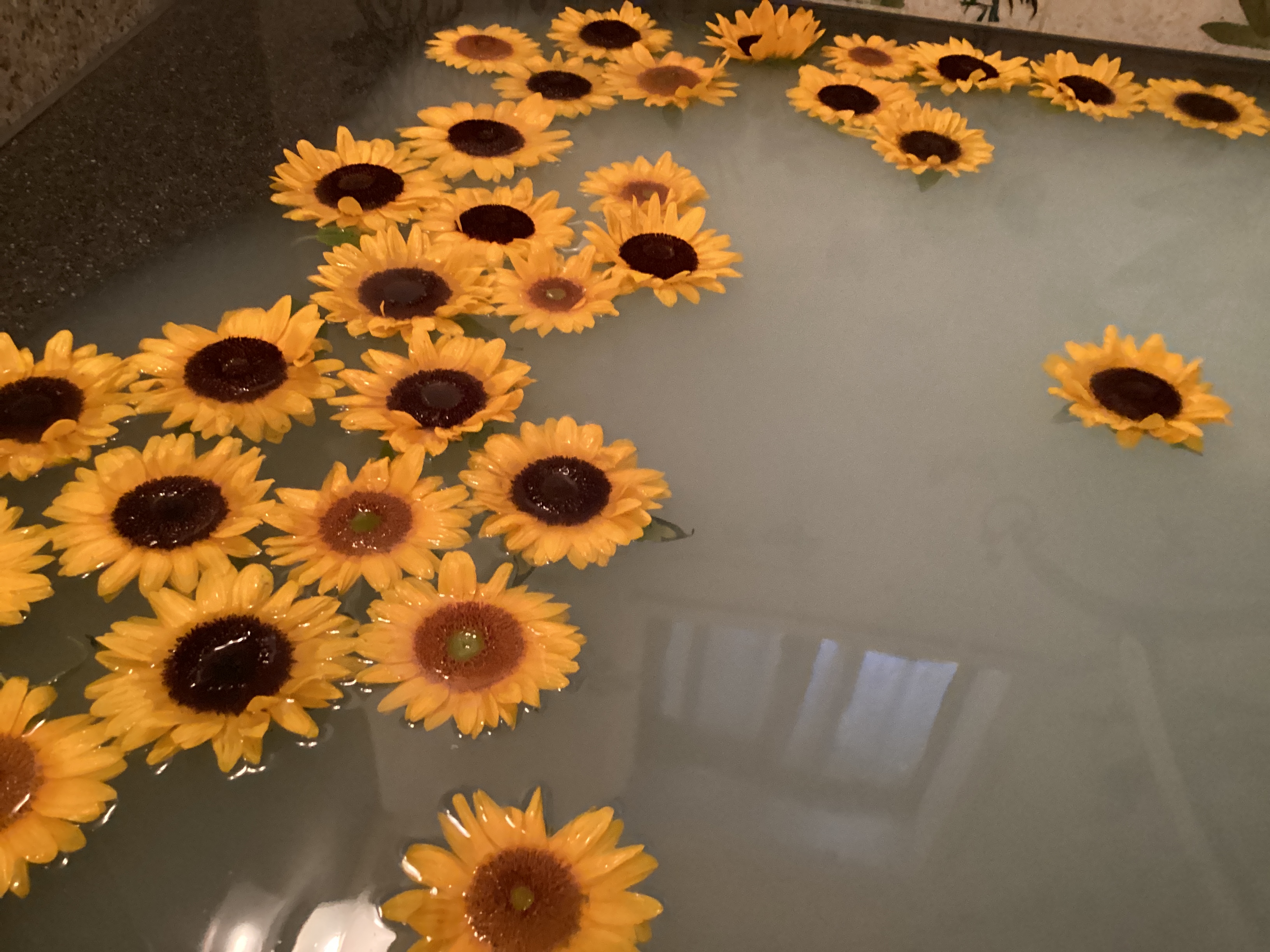 🌻ひまわり風呂🌻