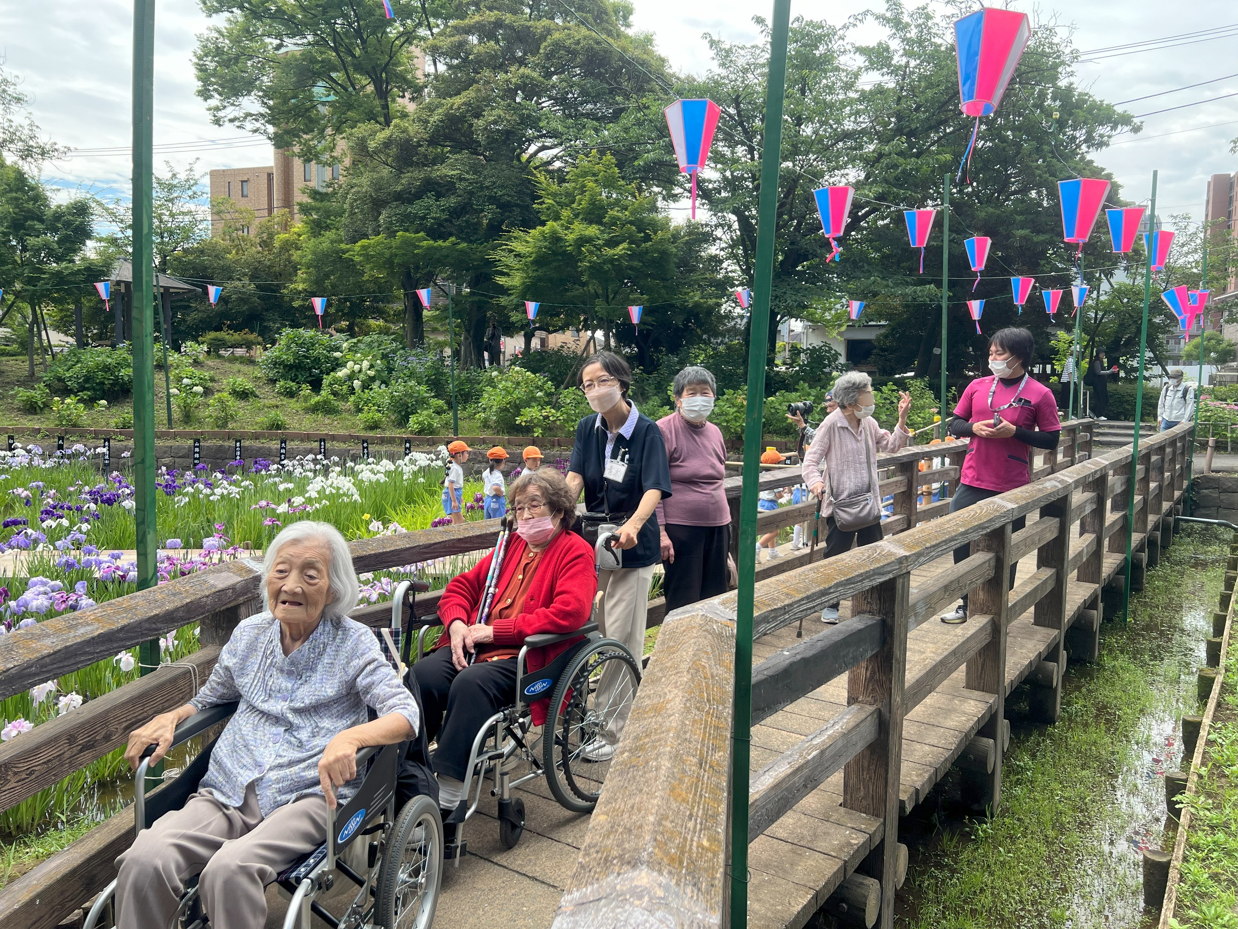 【葛飾奥戸】しょうぶ沼公園（6月）