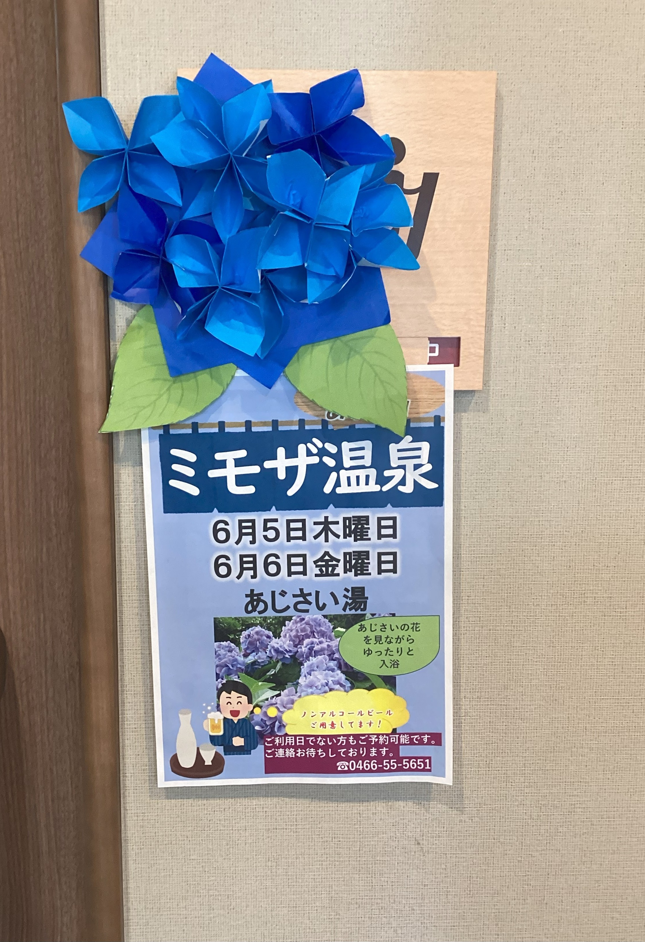 6月は～あじさいの湯～(ミモザ温泉♨)