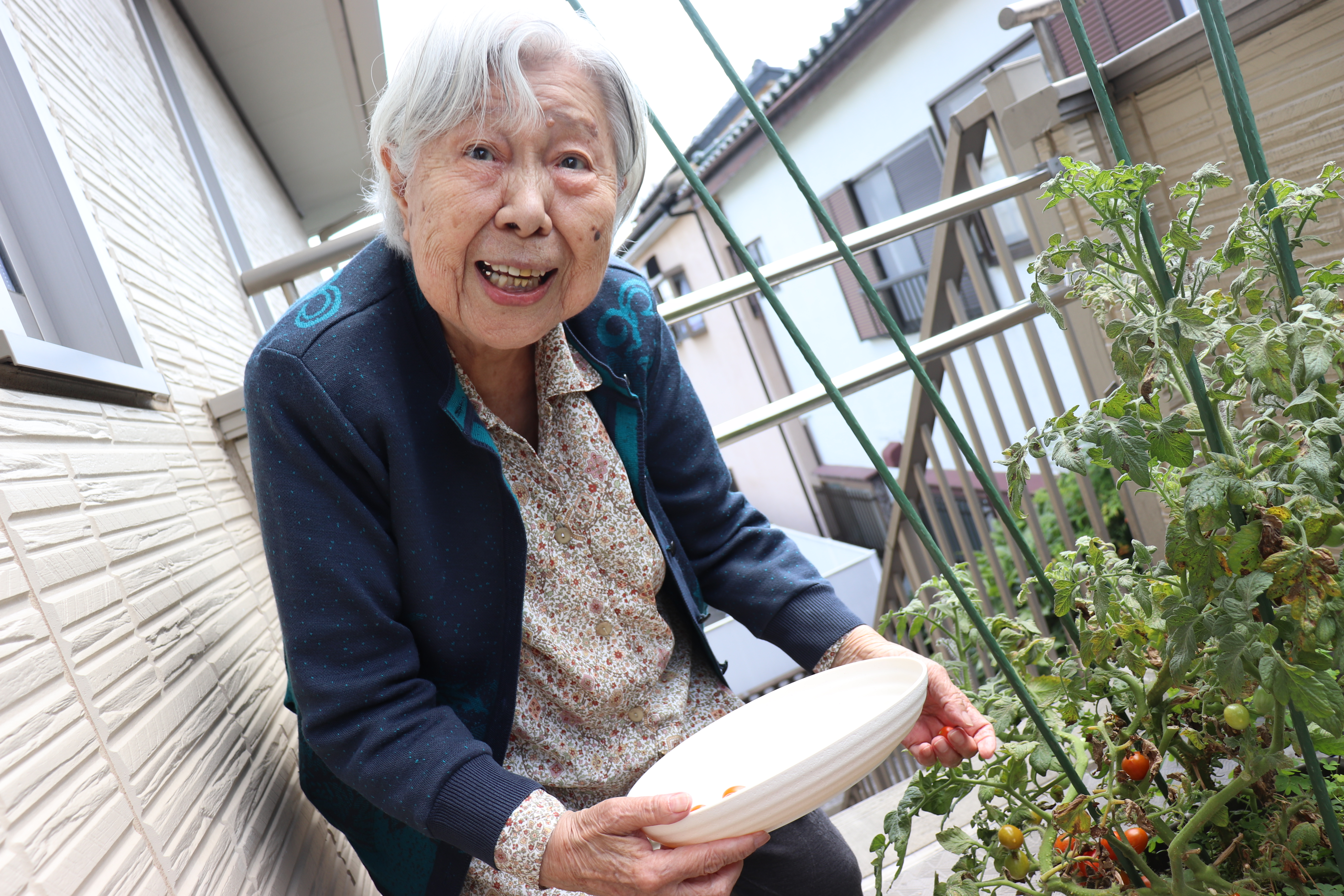 水やり・トマト🍅収穫💕