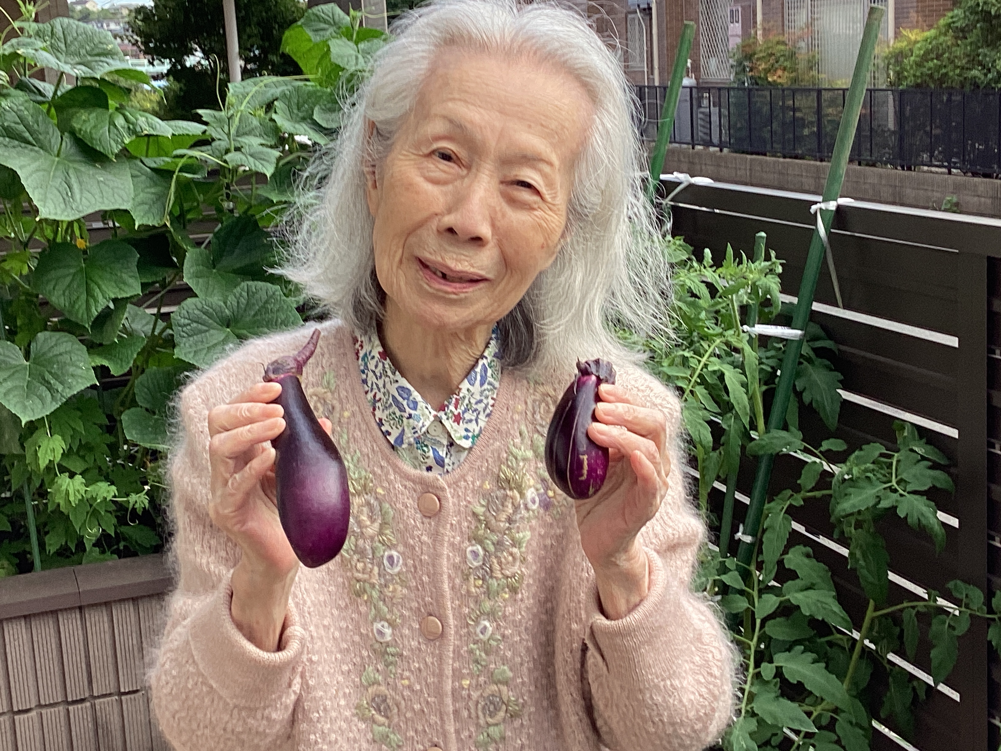 野菜収穫！