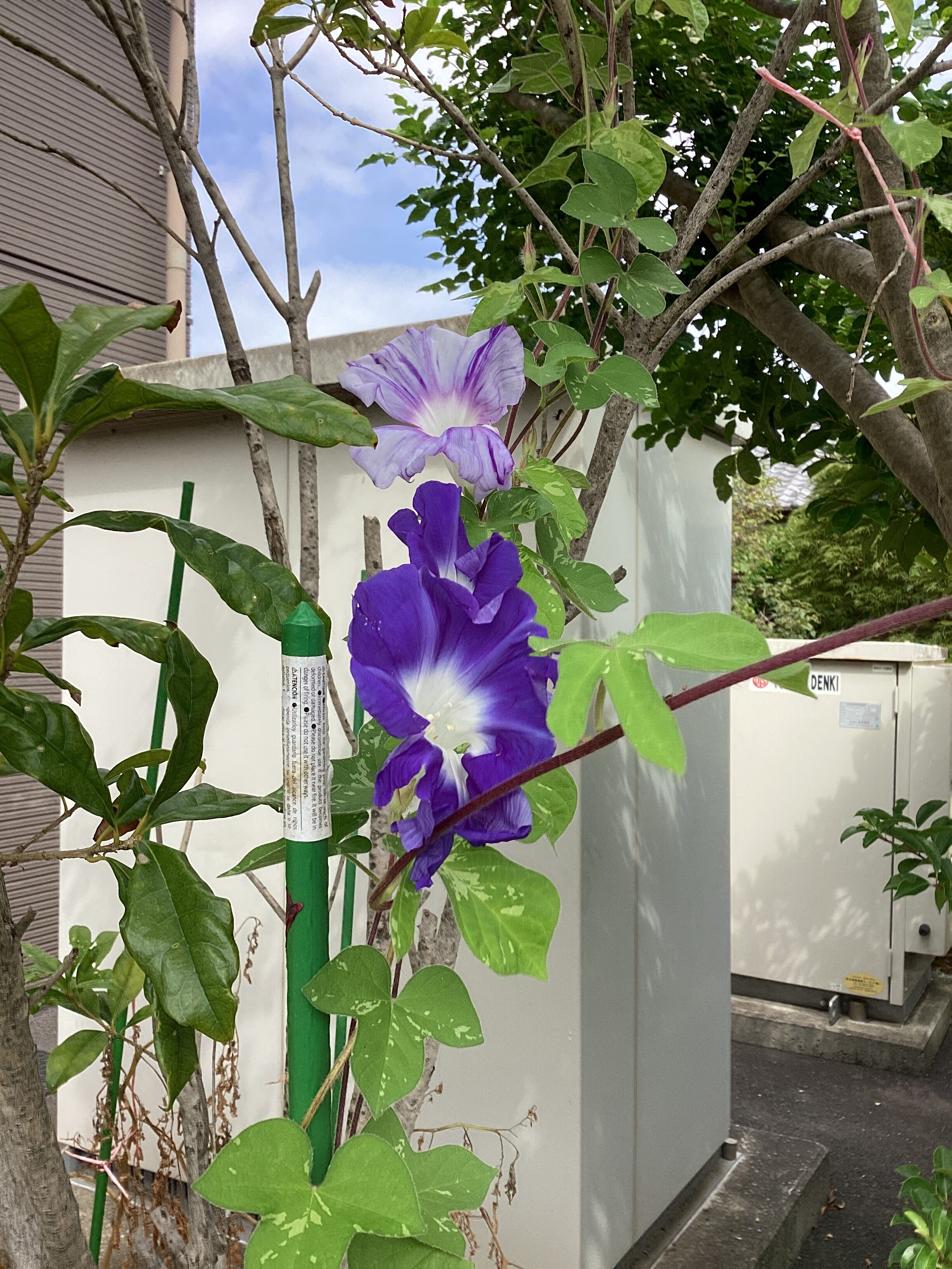 季節を感じる🌞