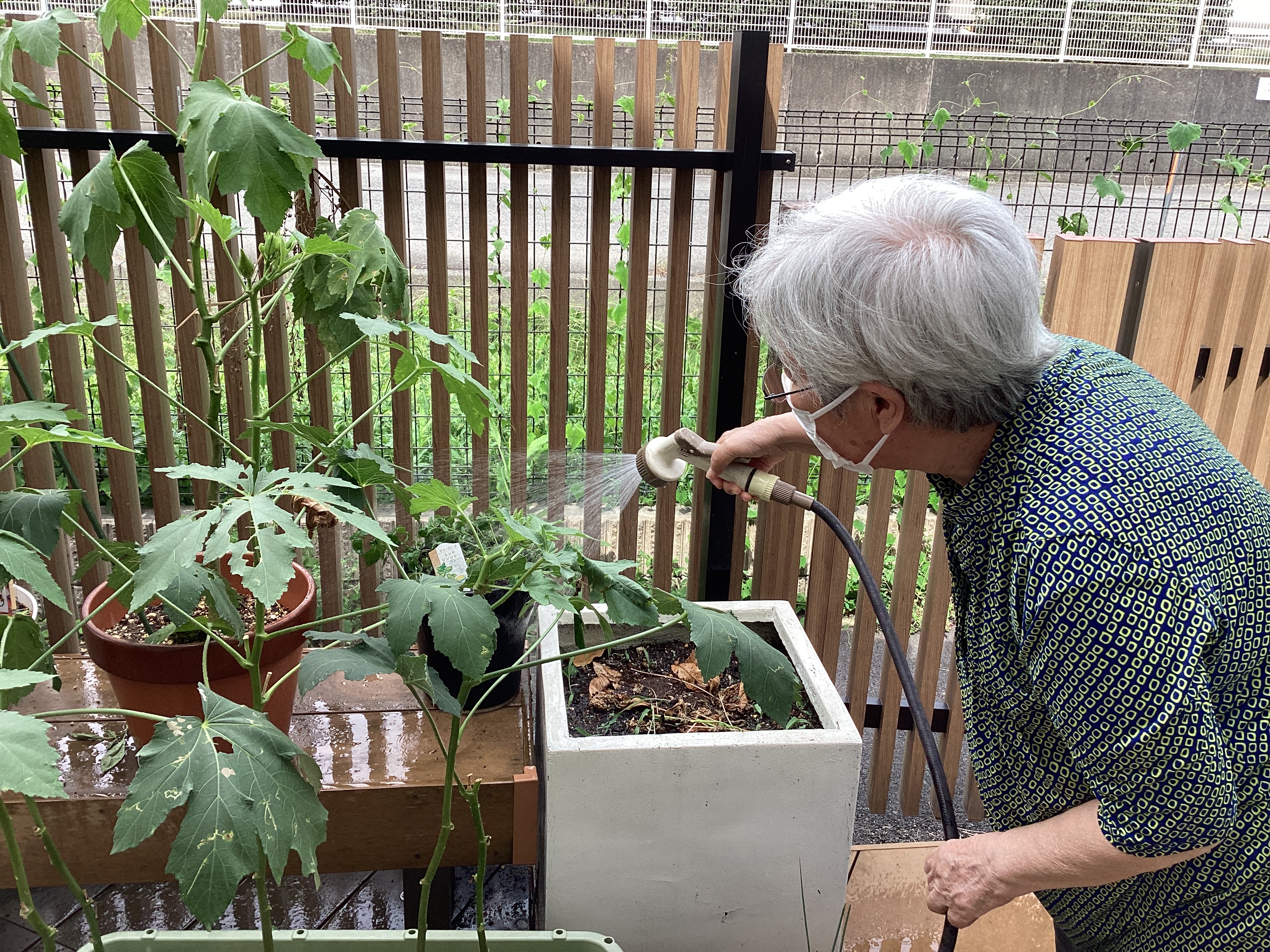 🍀情緒豊かに過ごせます🌿自然の効果✨