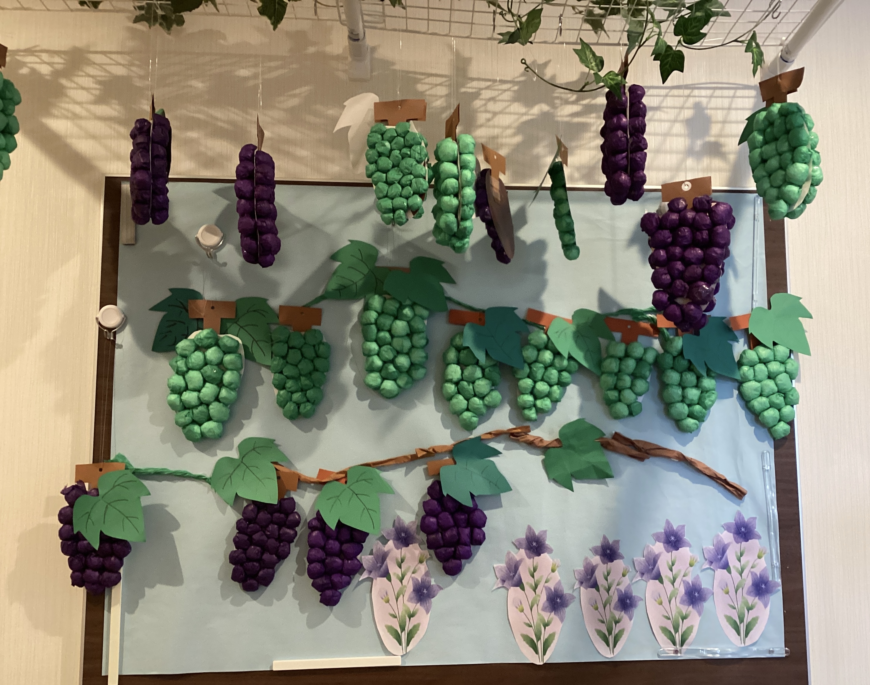 ぶどうが実りました🍇