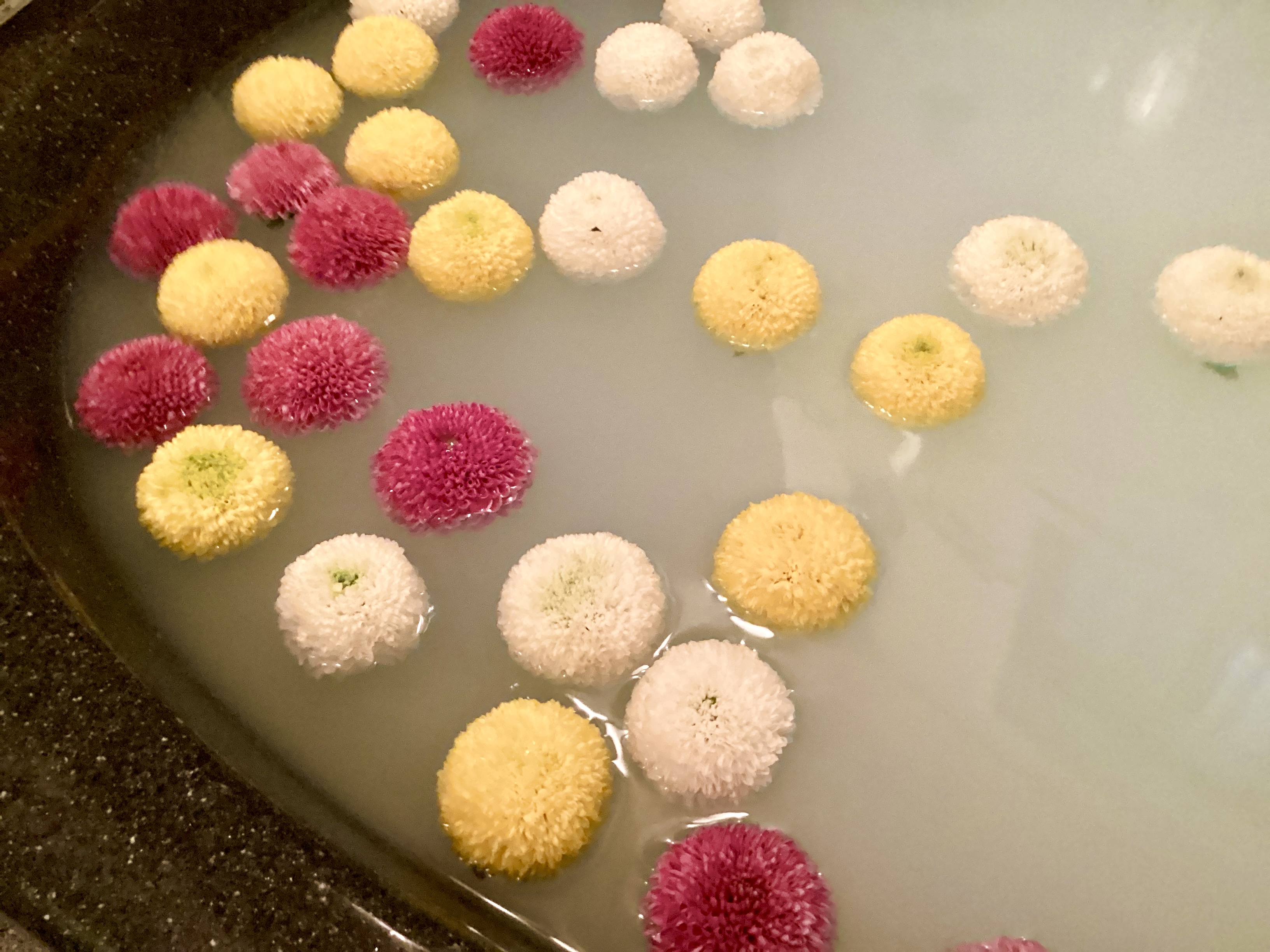 🛀重陽の節句🛀