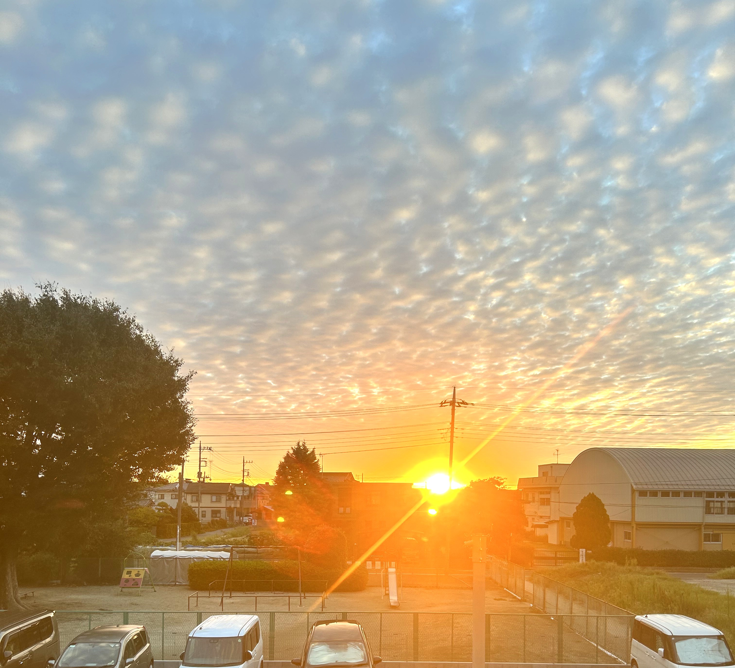 秋の空🎶