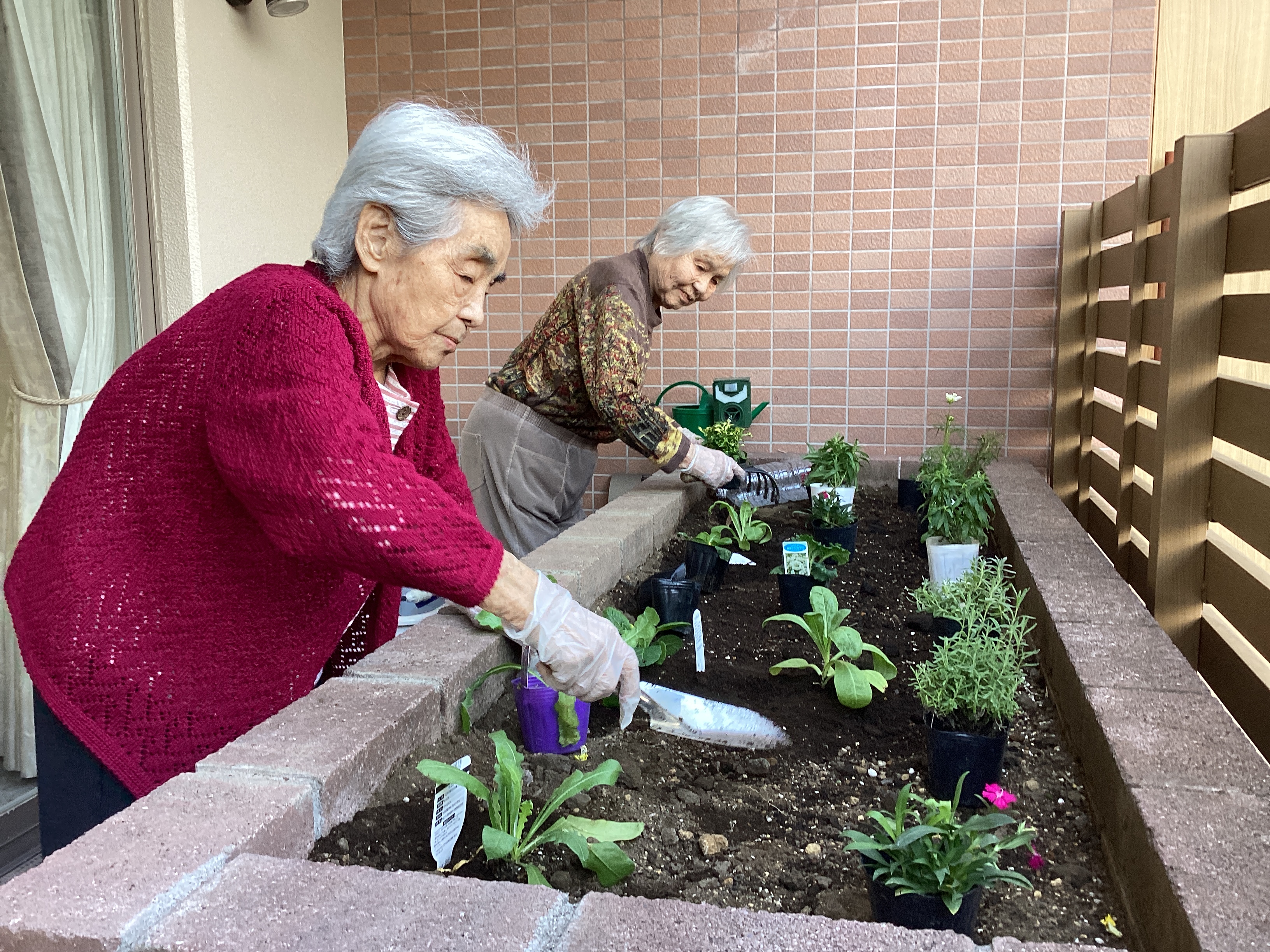 花壇のお手入れ🏵️🪴🪻