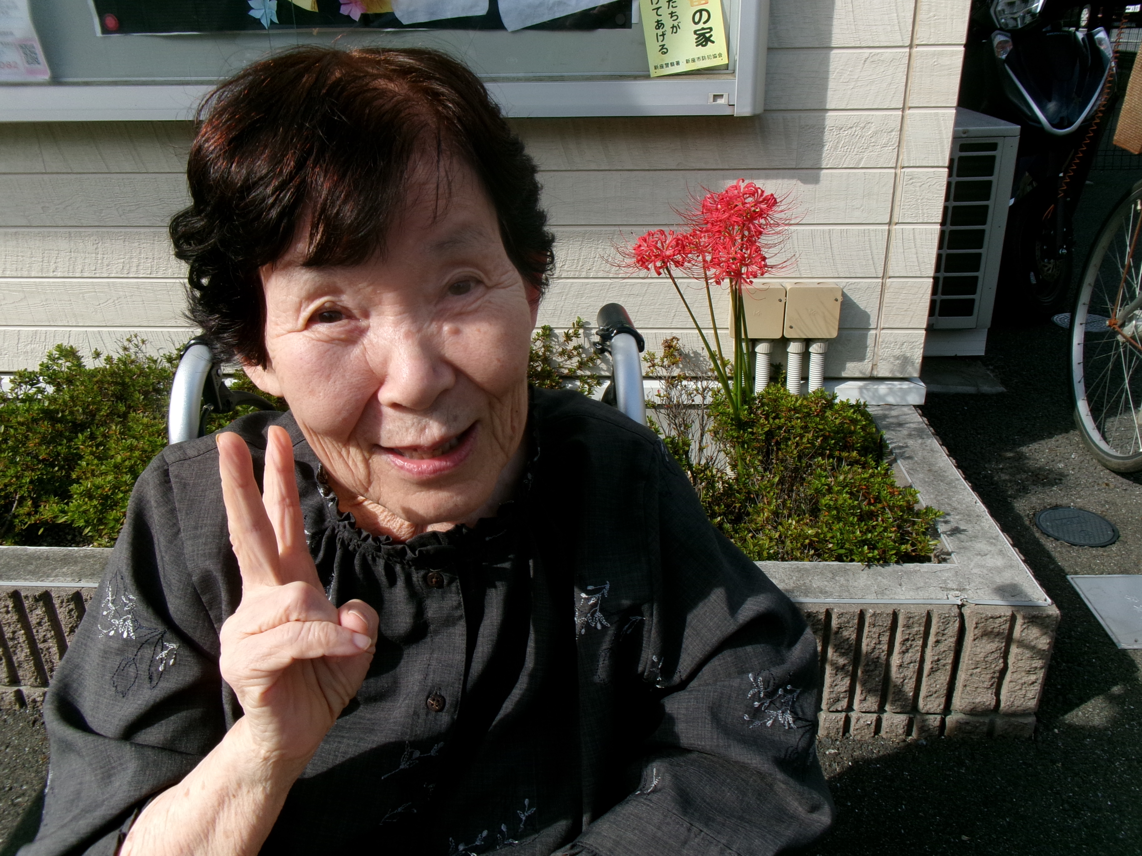 彼岸花が綺麗に咲きました！