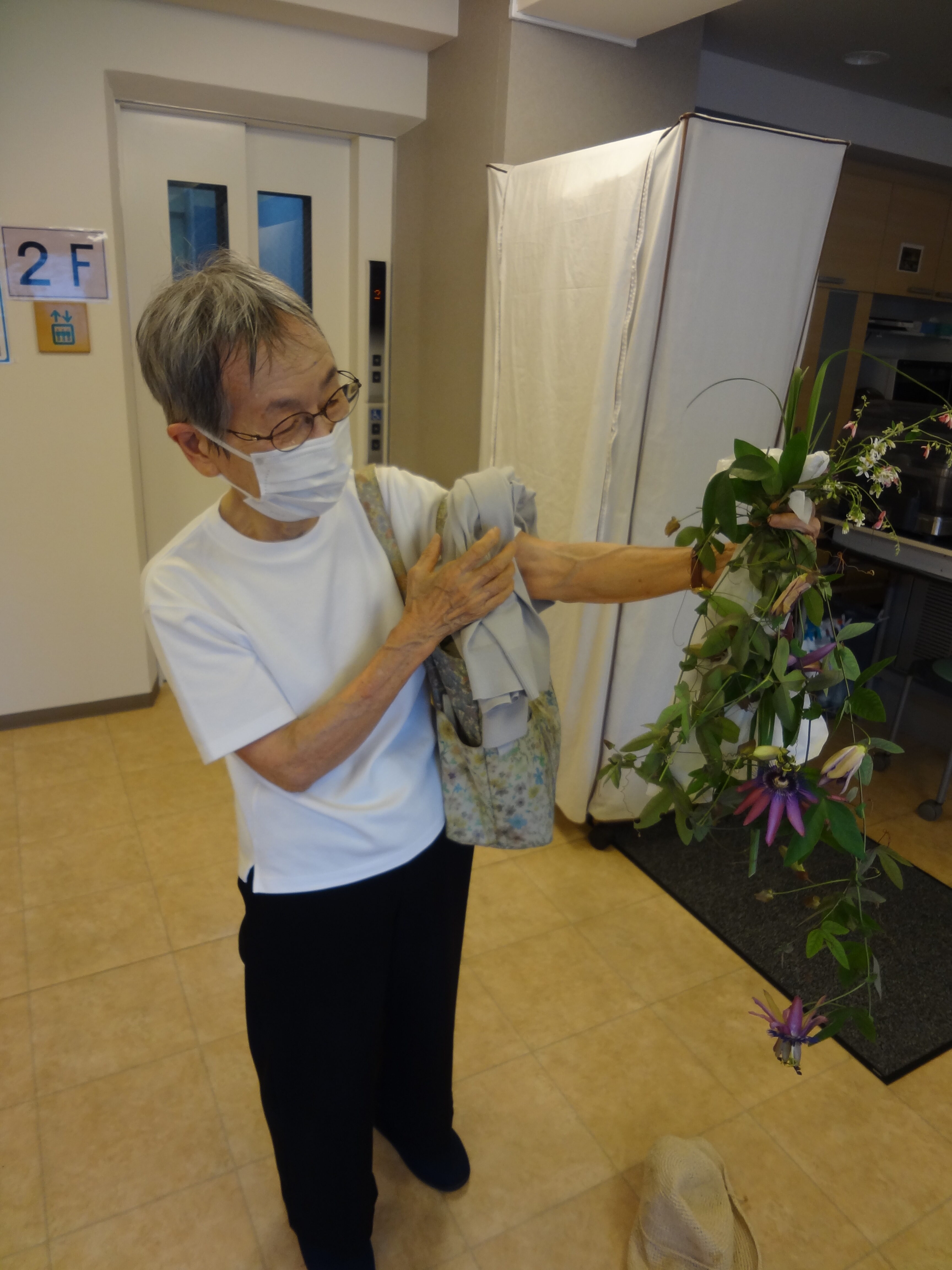 トケイソウと言うそうです