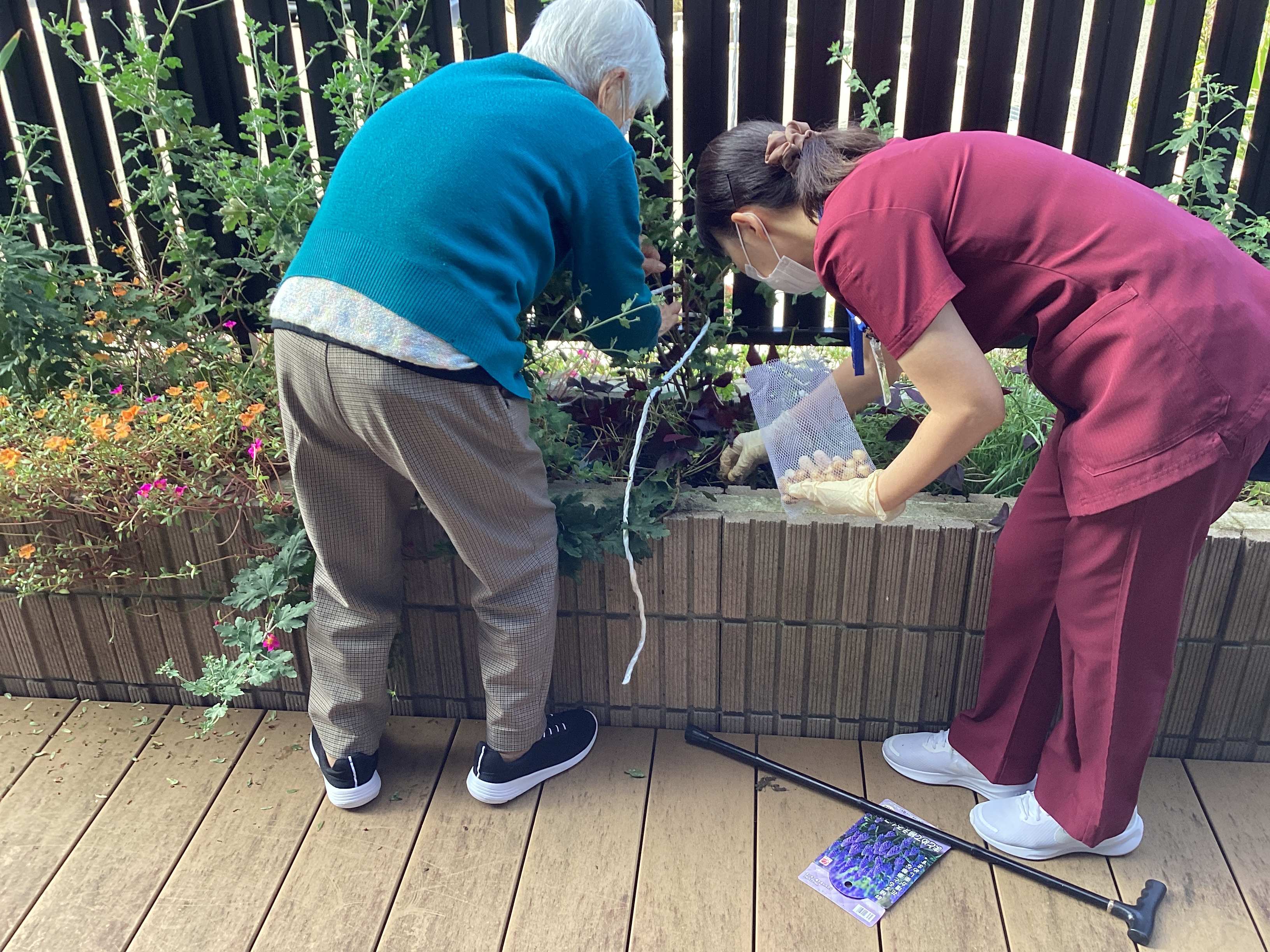 球根を植えました！