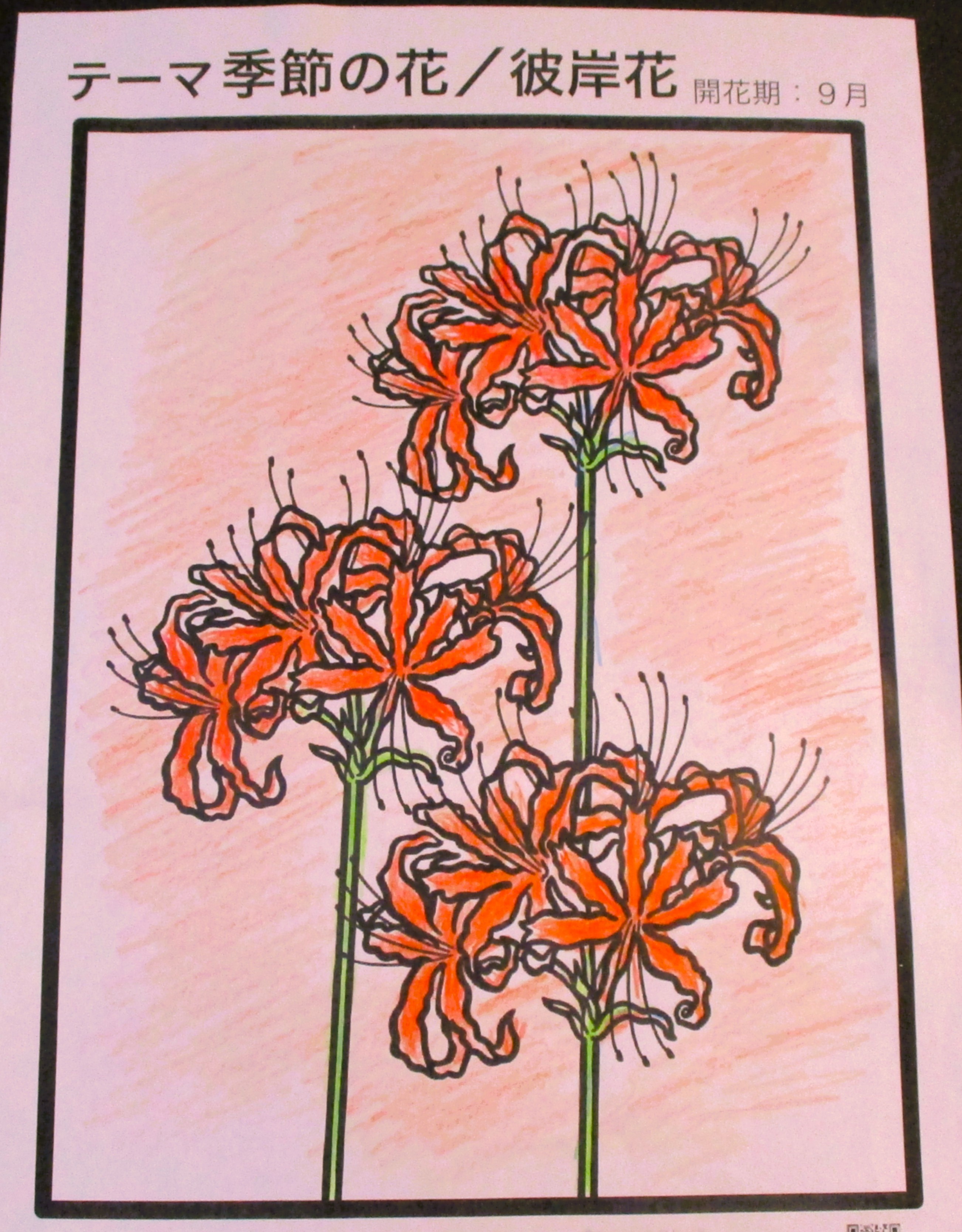 やまぶき苑ミュージアム