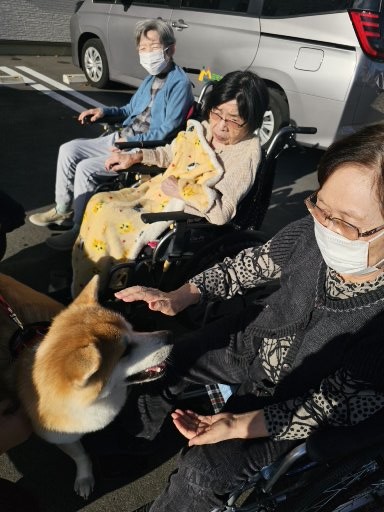 わんちゃんの来所