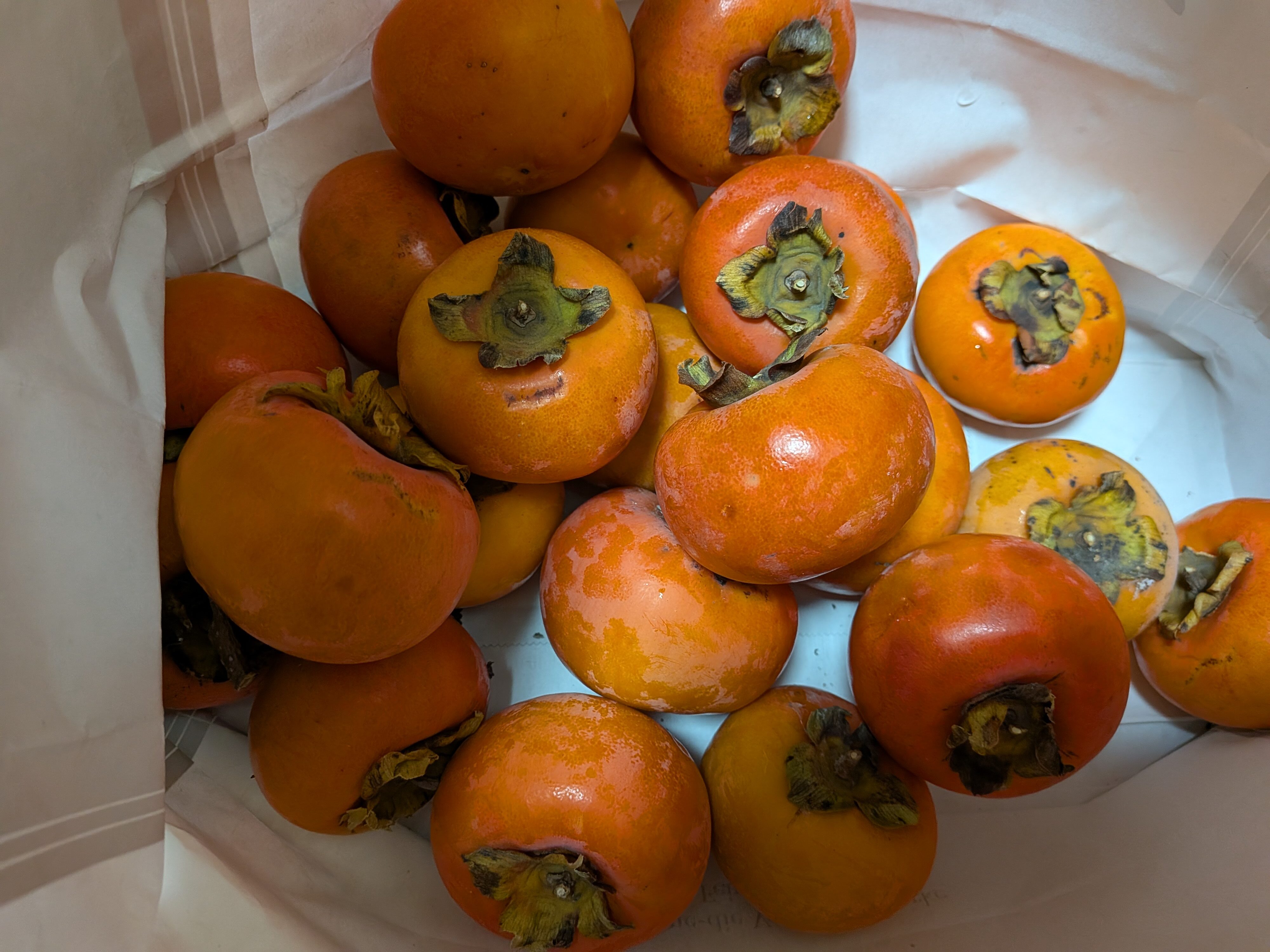 🍂11月も終わる…🍂