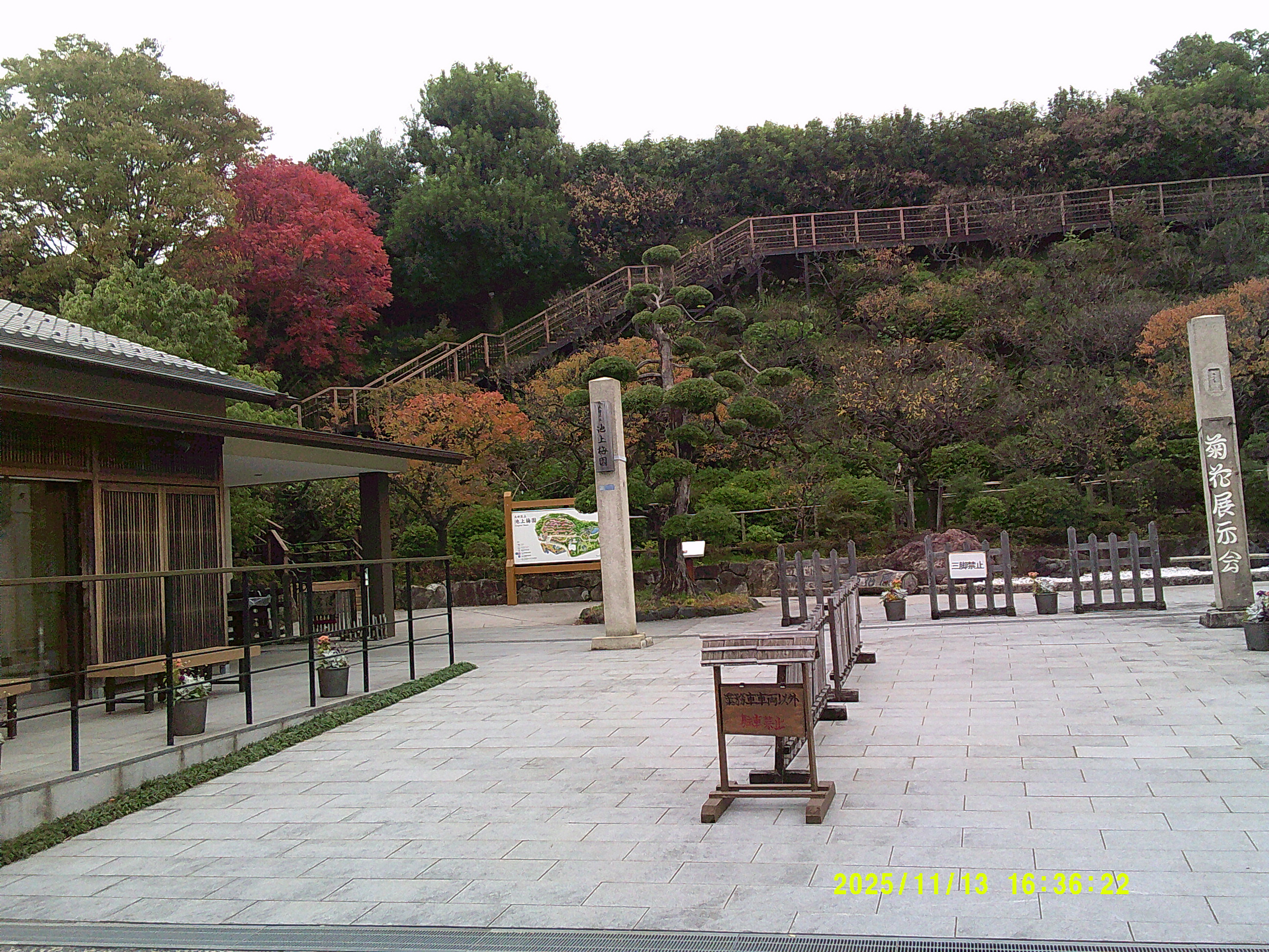 外出レク🚗菊花展②