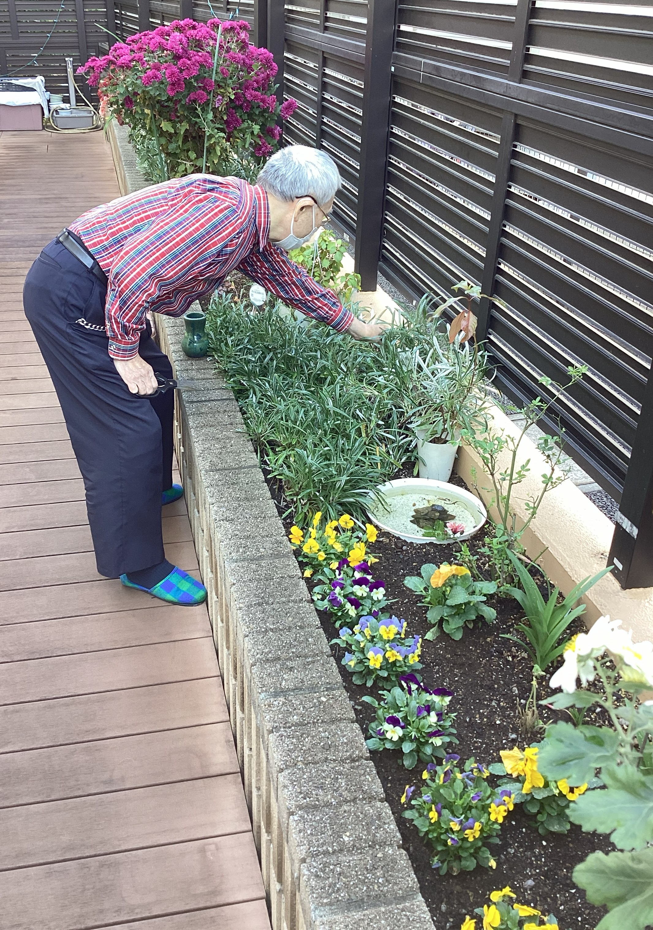 壱番館の素敵なテラス🌸