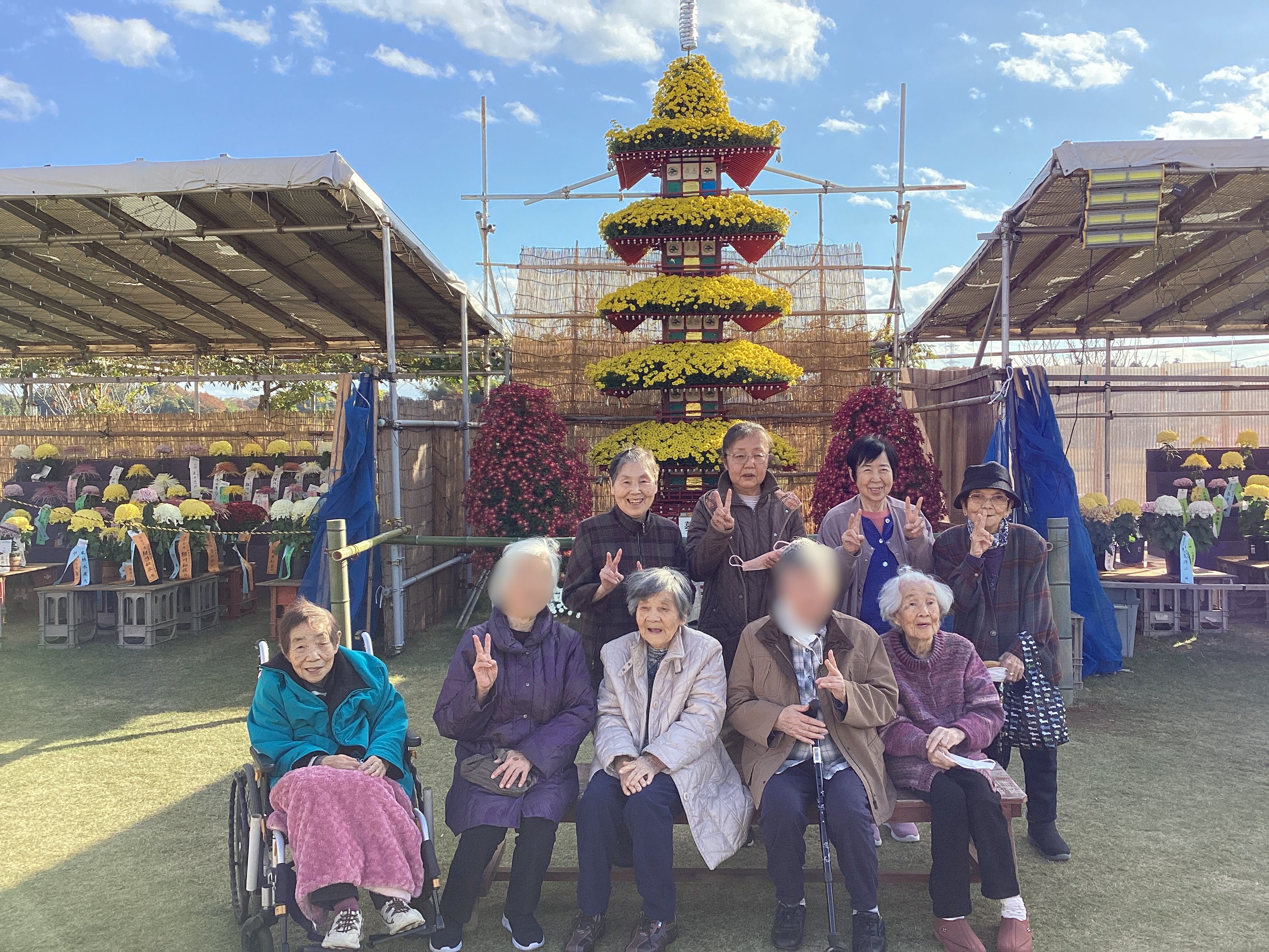 🏵️菊花展を見に行きました！🏵️