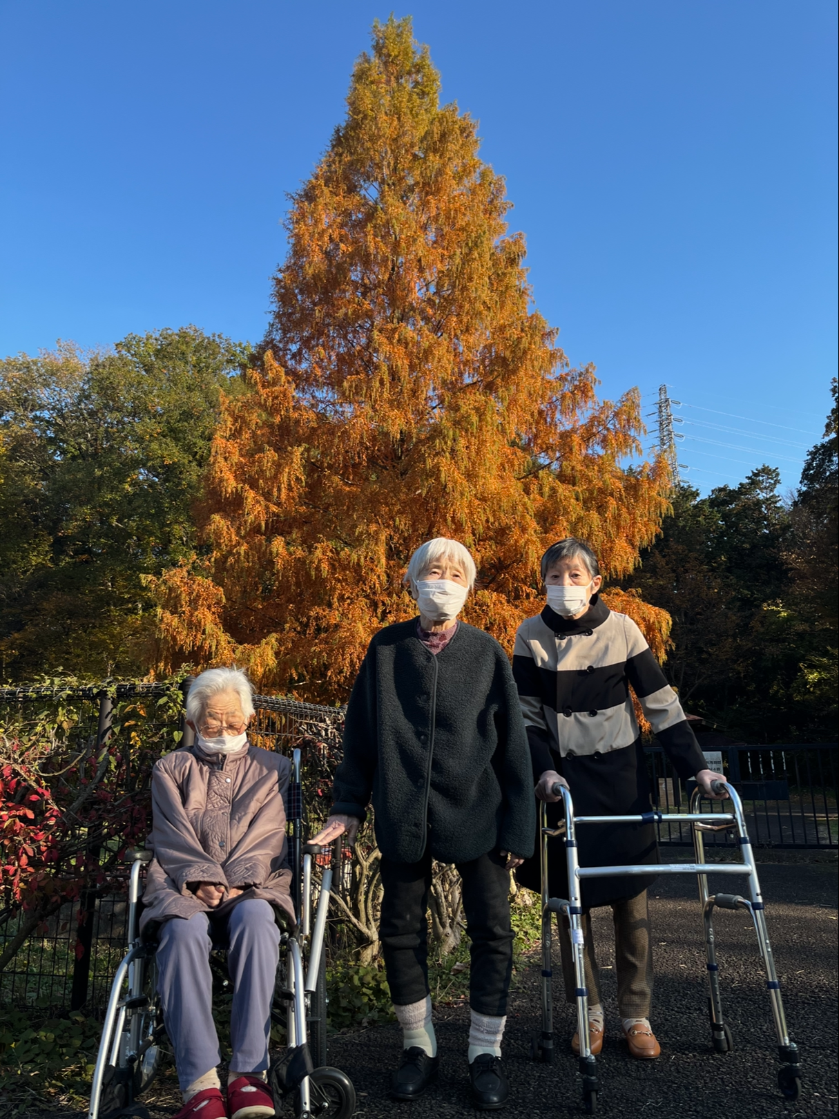 紅葉見に行こうよー！