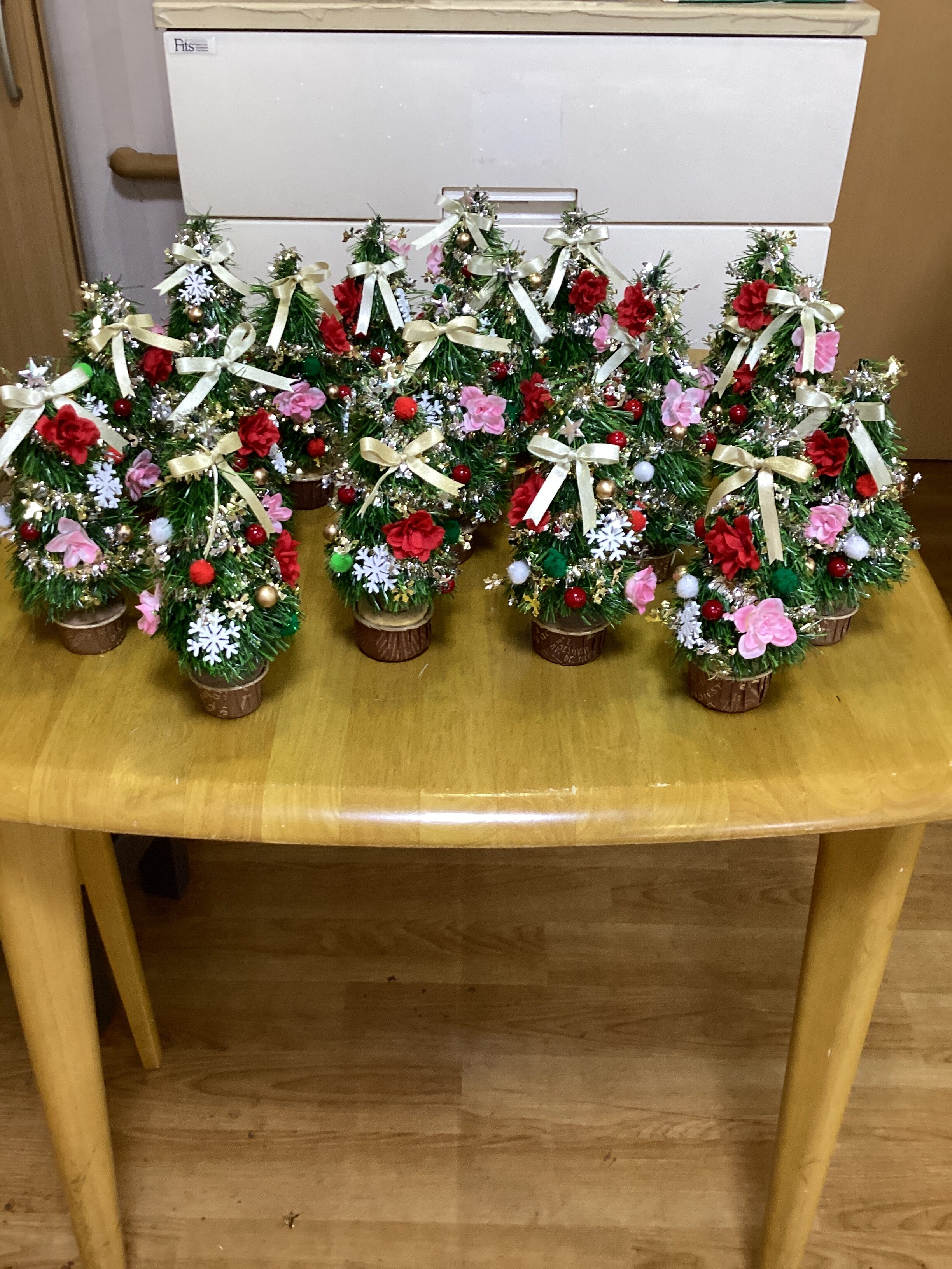 11月「フラワーセラピー」🎄