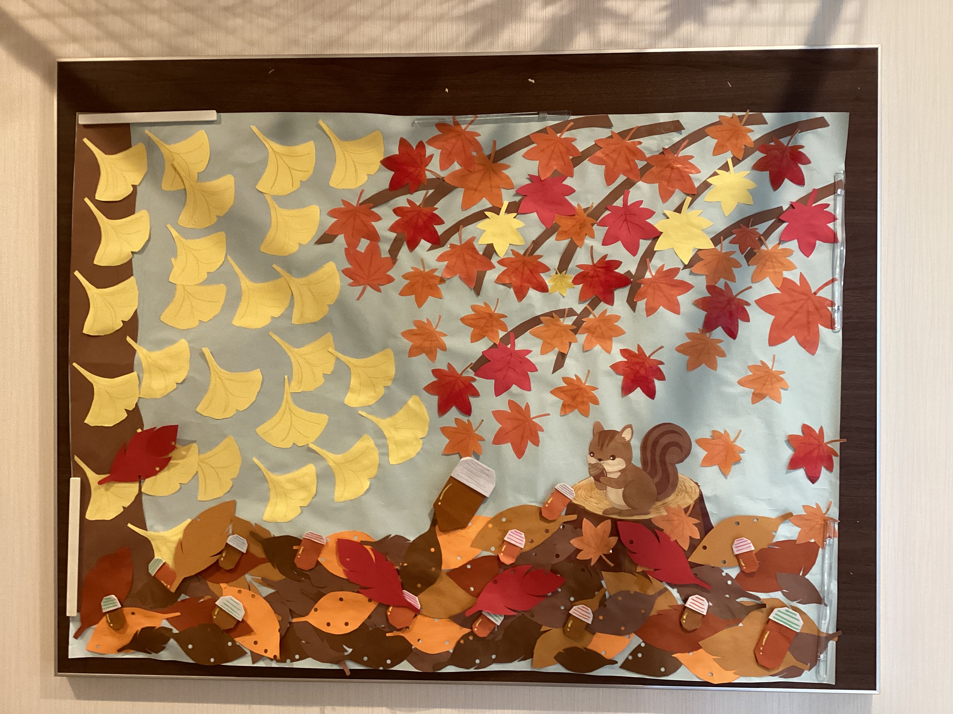 紅葉の季節になりました！