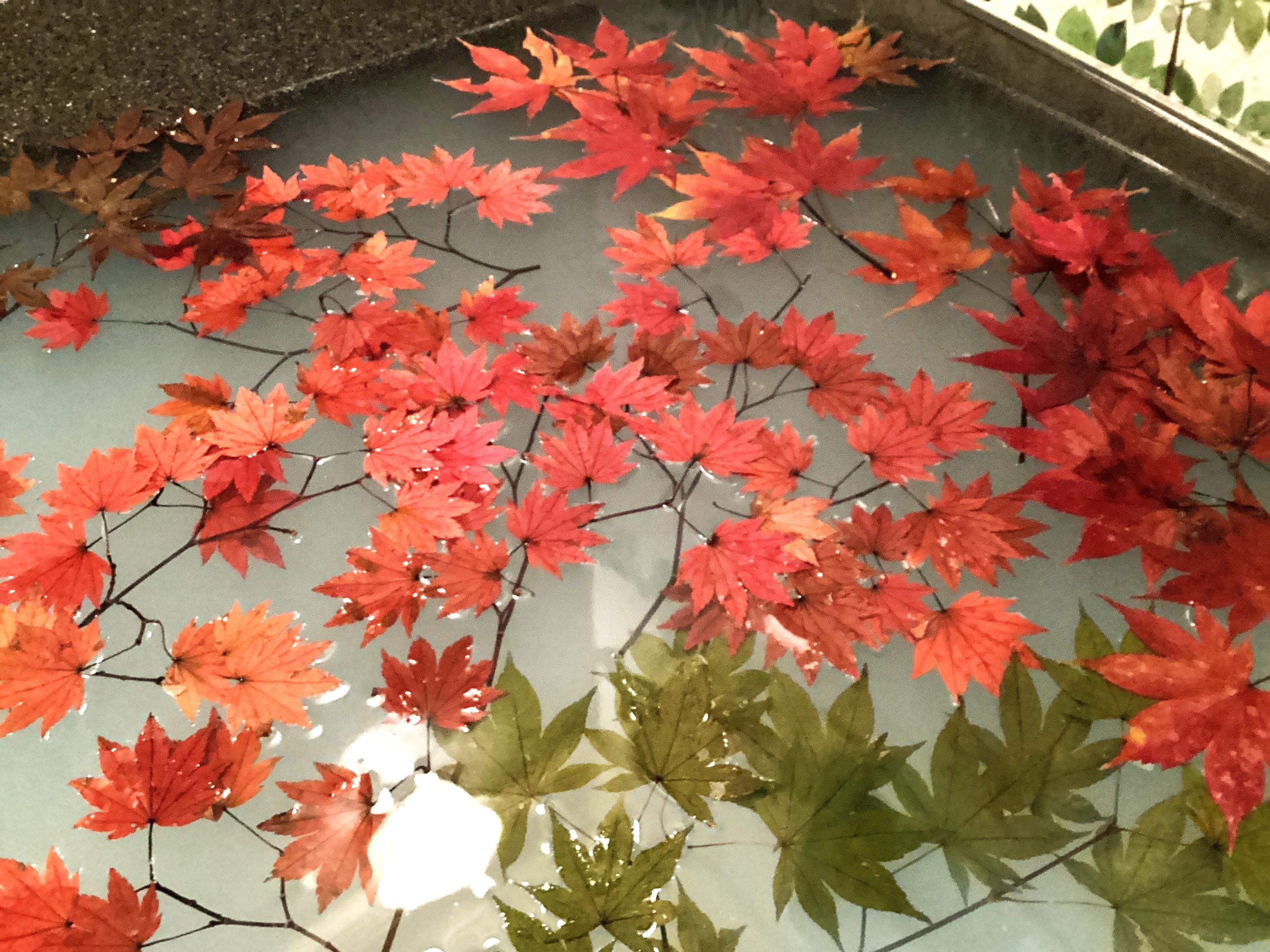 🍁紅葉風呂🍁