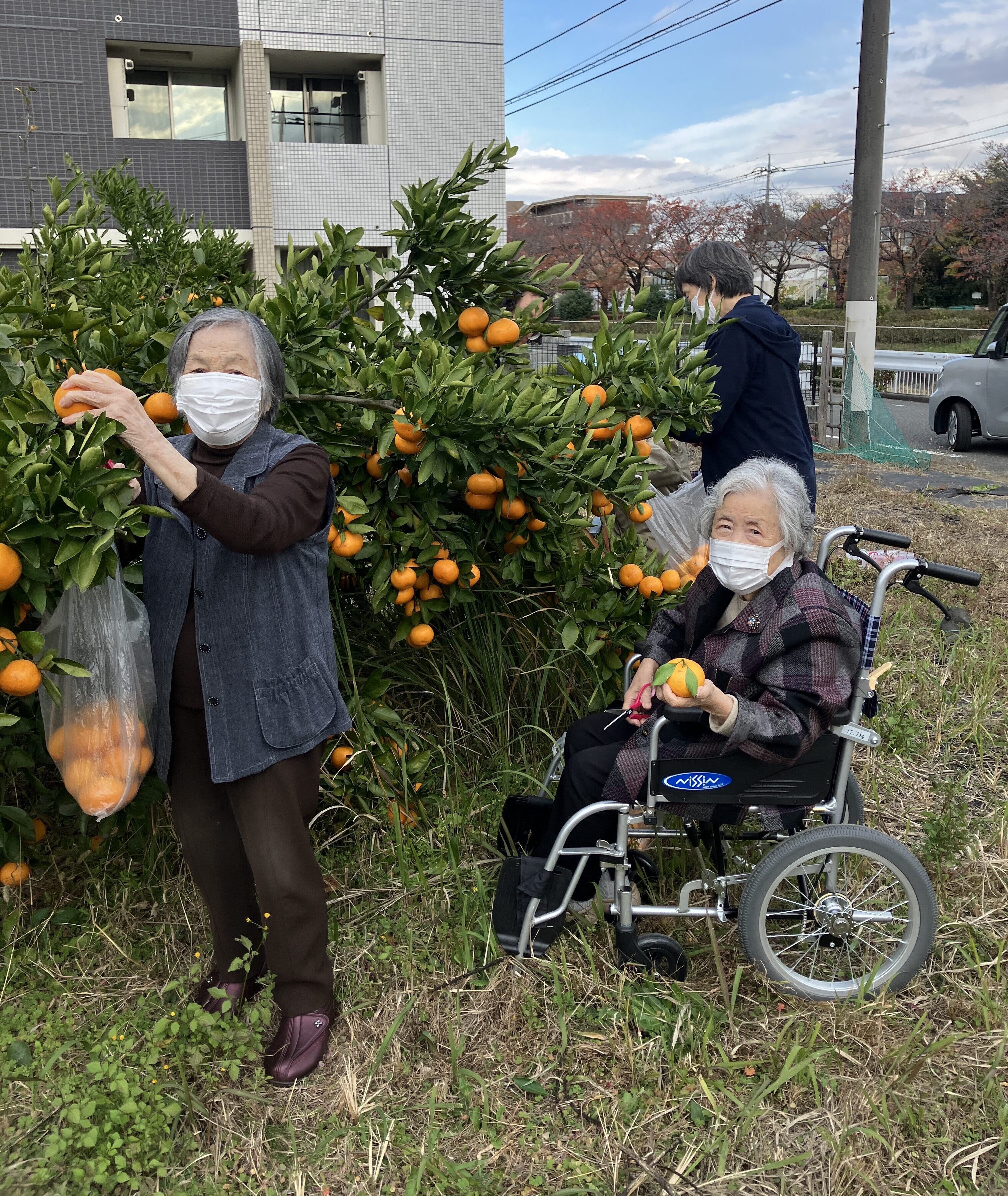 みかん狩りしてきました！