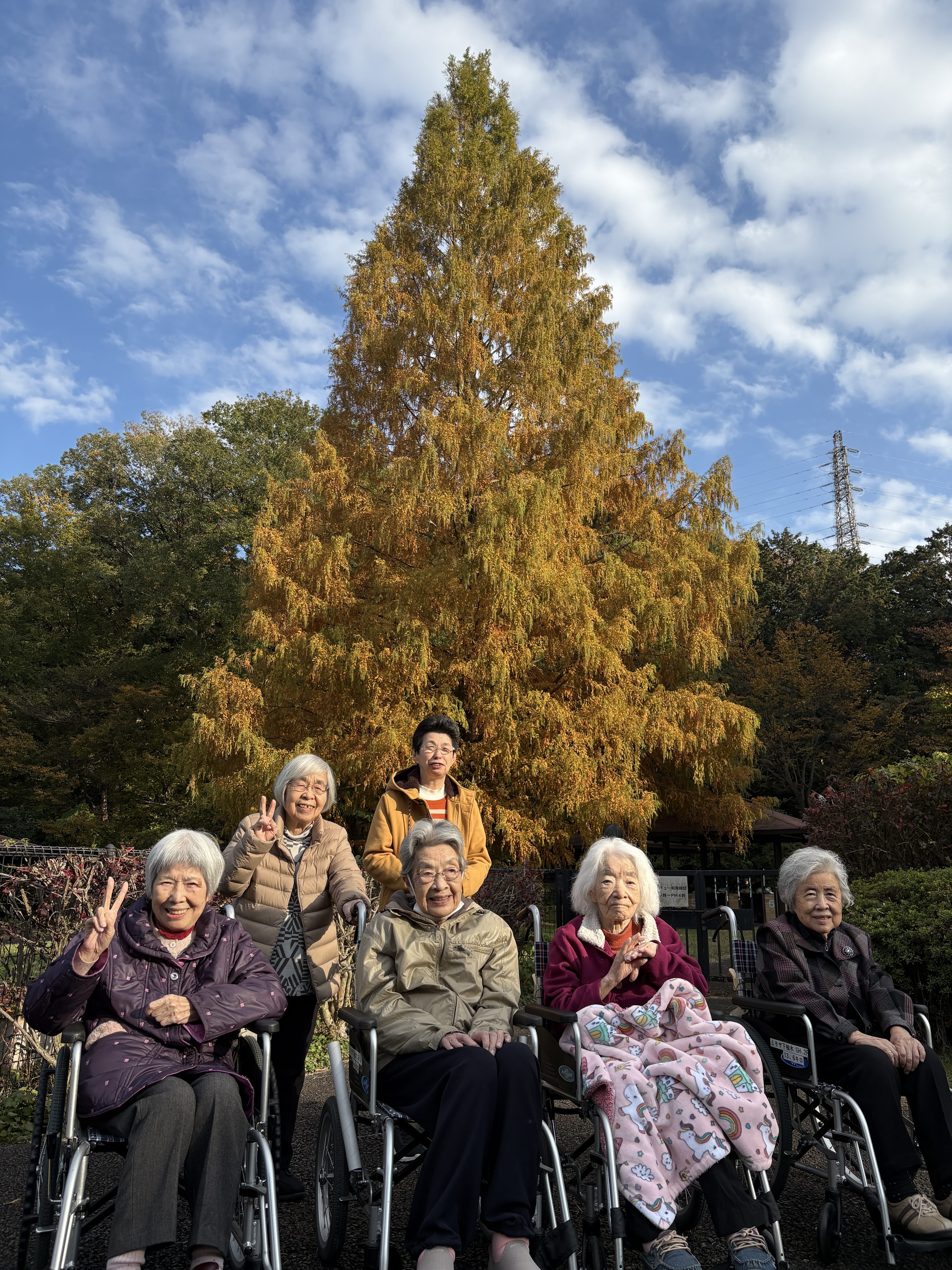 紅葉のメタセコイアの前で📷