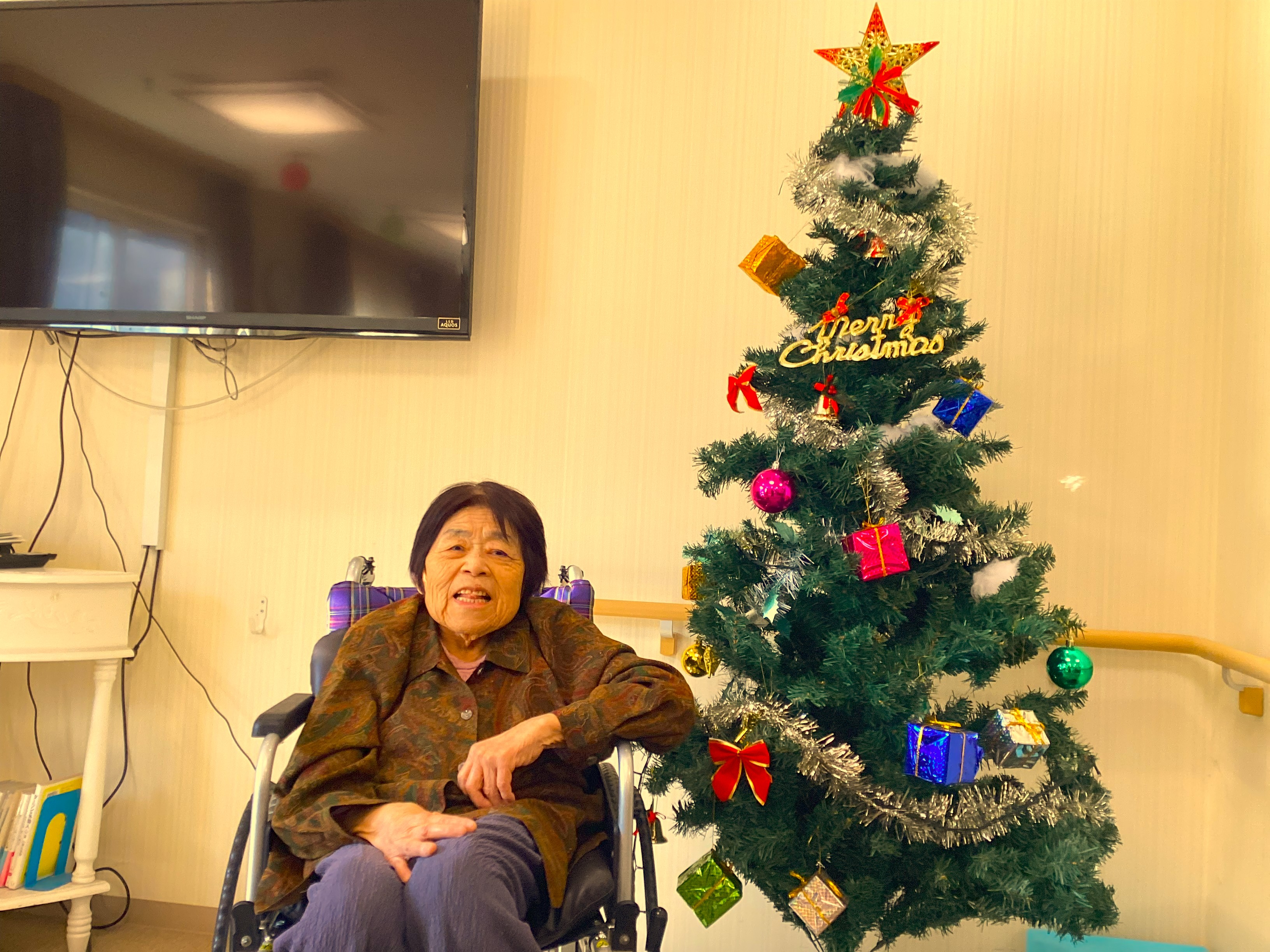 クリスマスツリー🎄