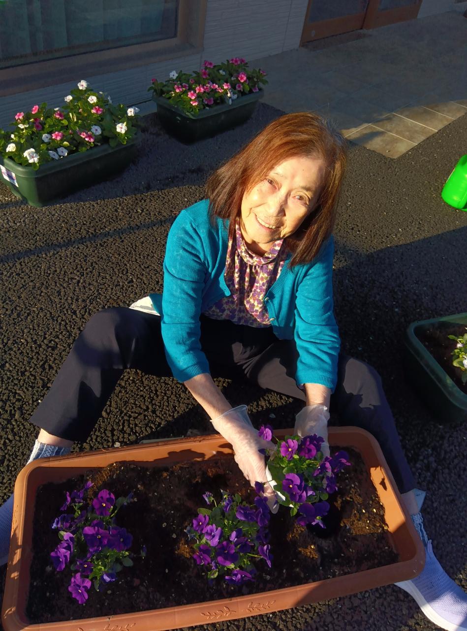 ✿お花のお手入れ✿