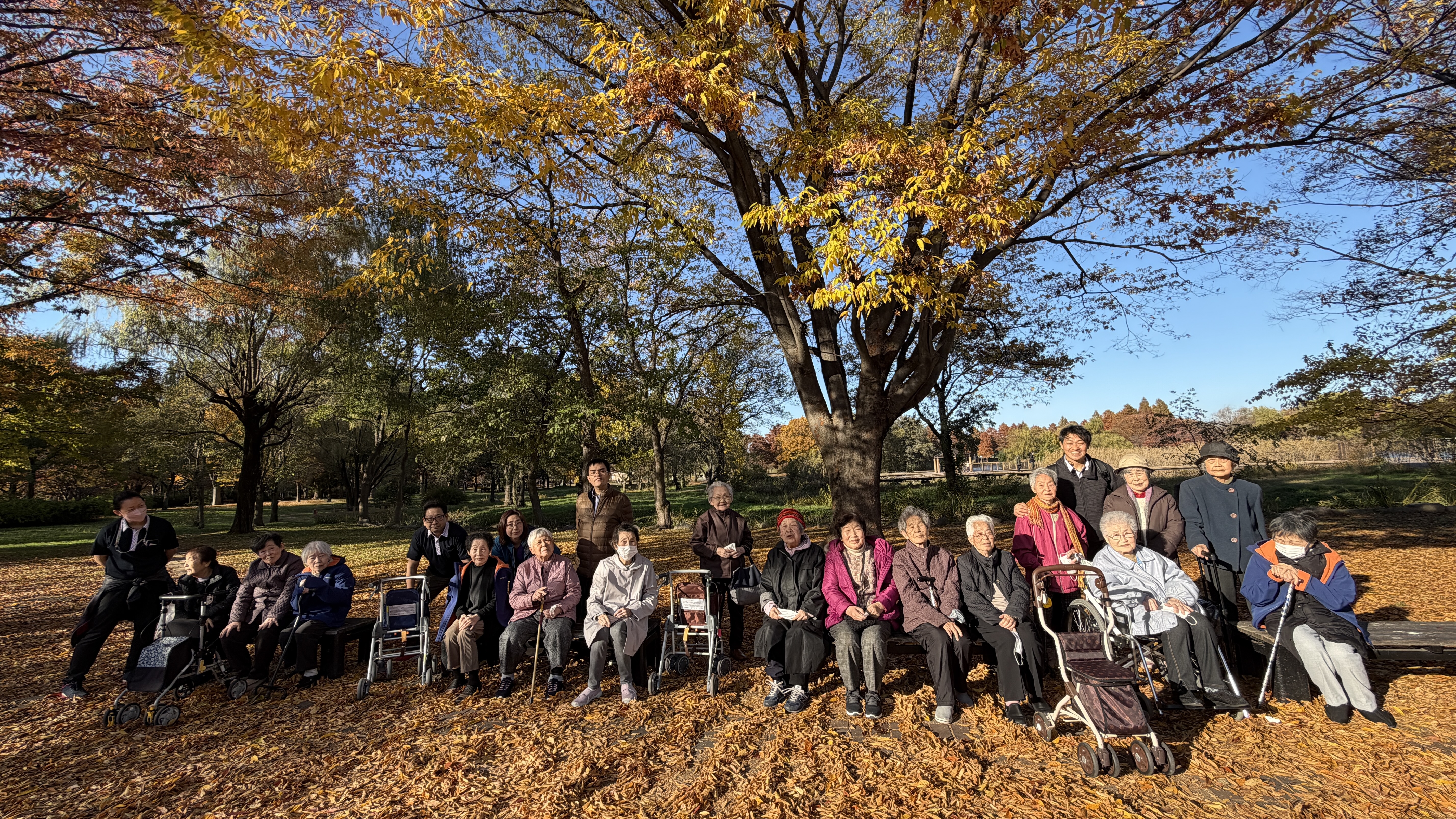 紅葉を見てきました。