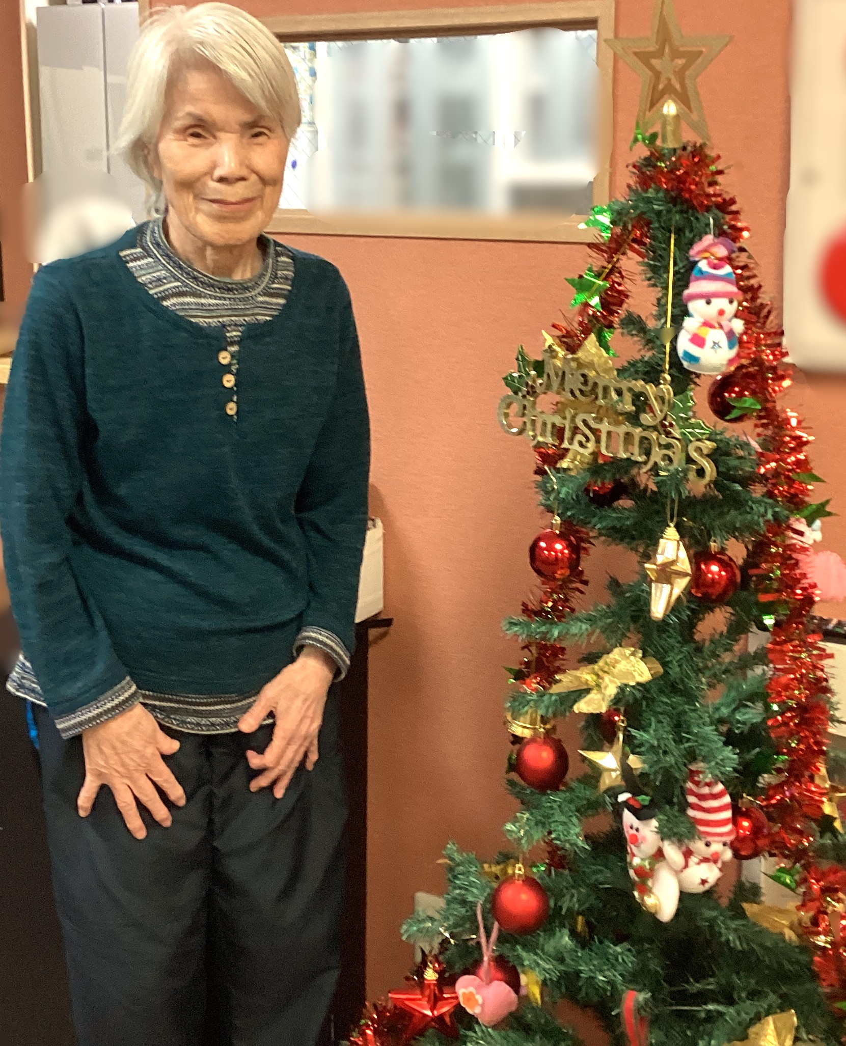 クリスマスツリー🎄