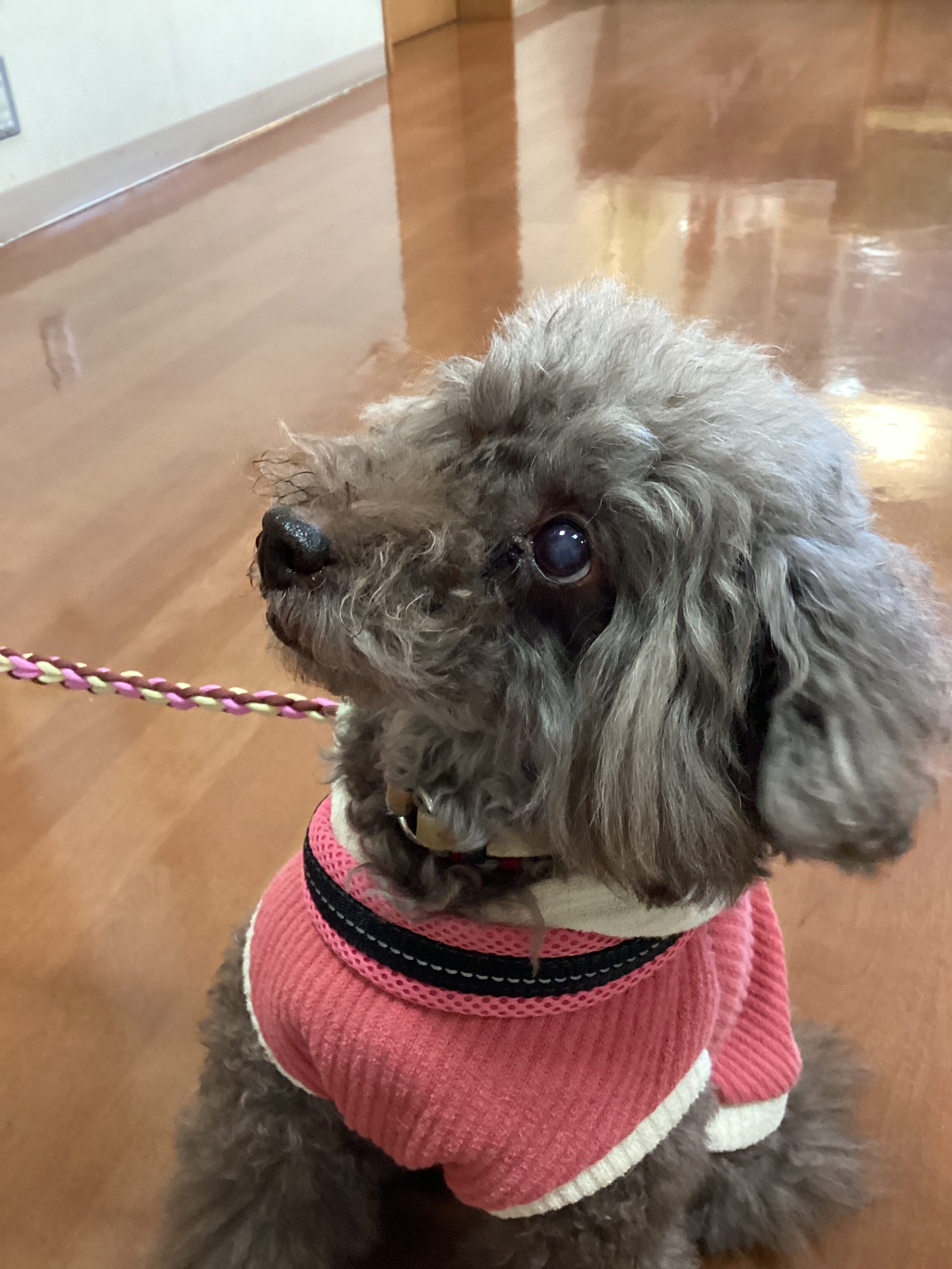 ふれあいタイム♪