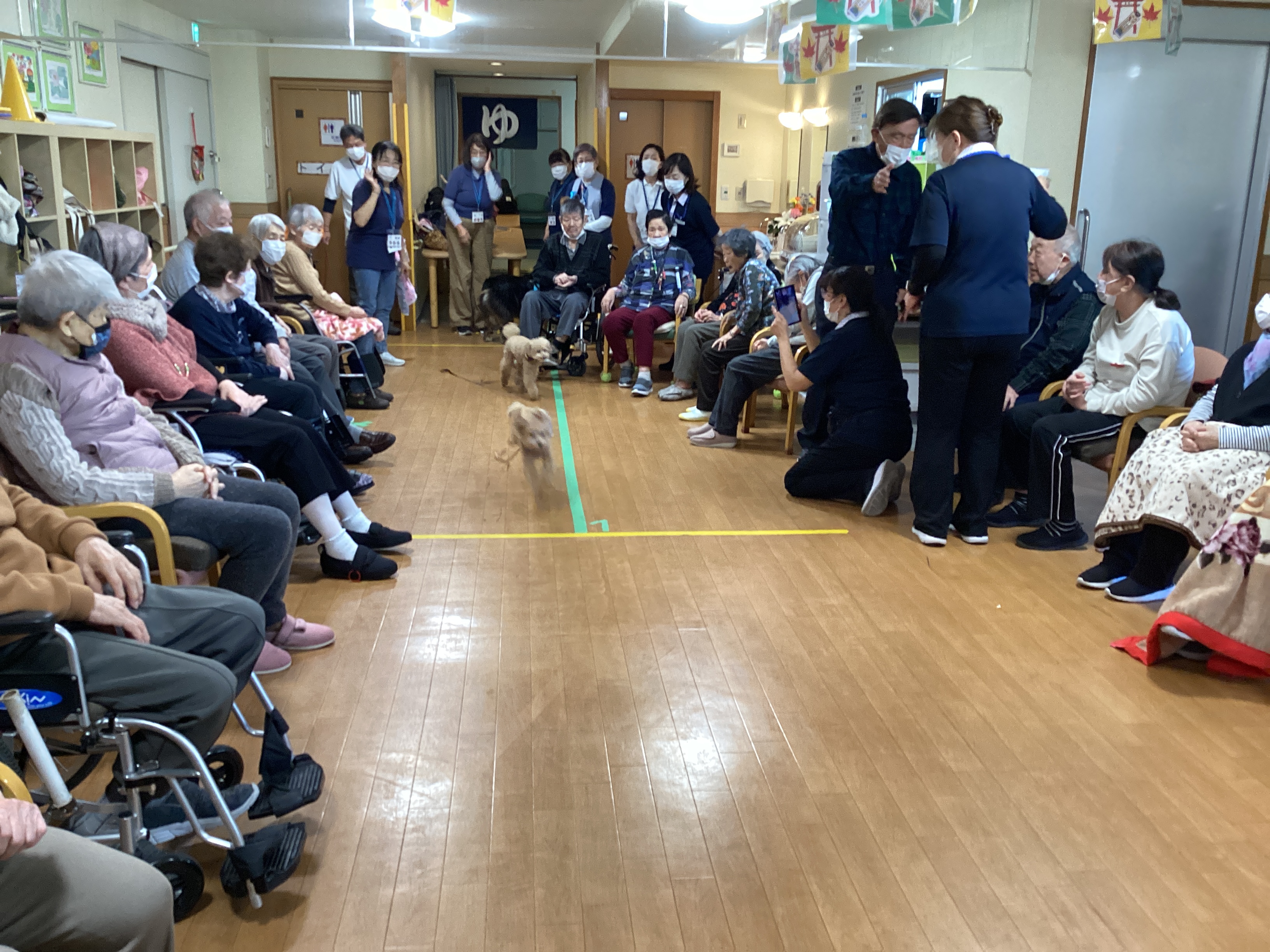 モフモフ癒しの会！開催しました。