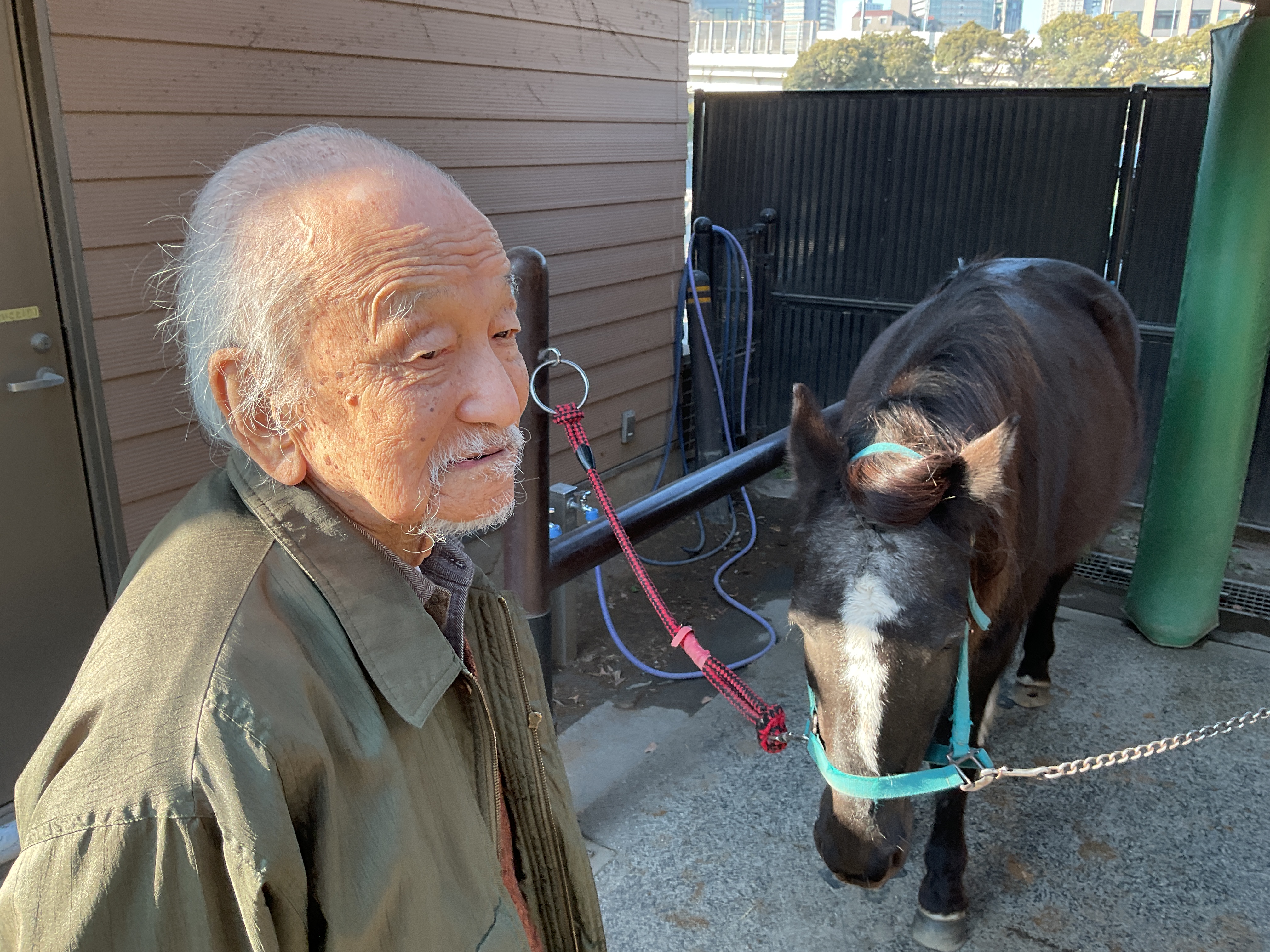 代々木ポニー公園へ🏇