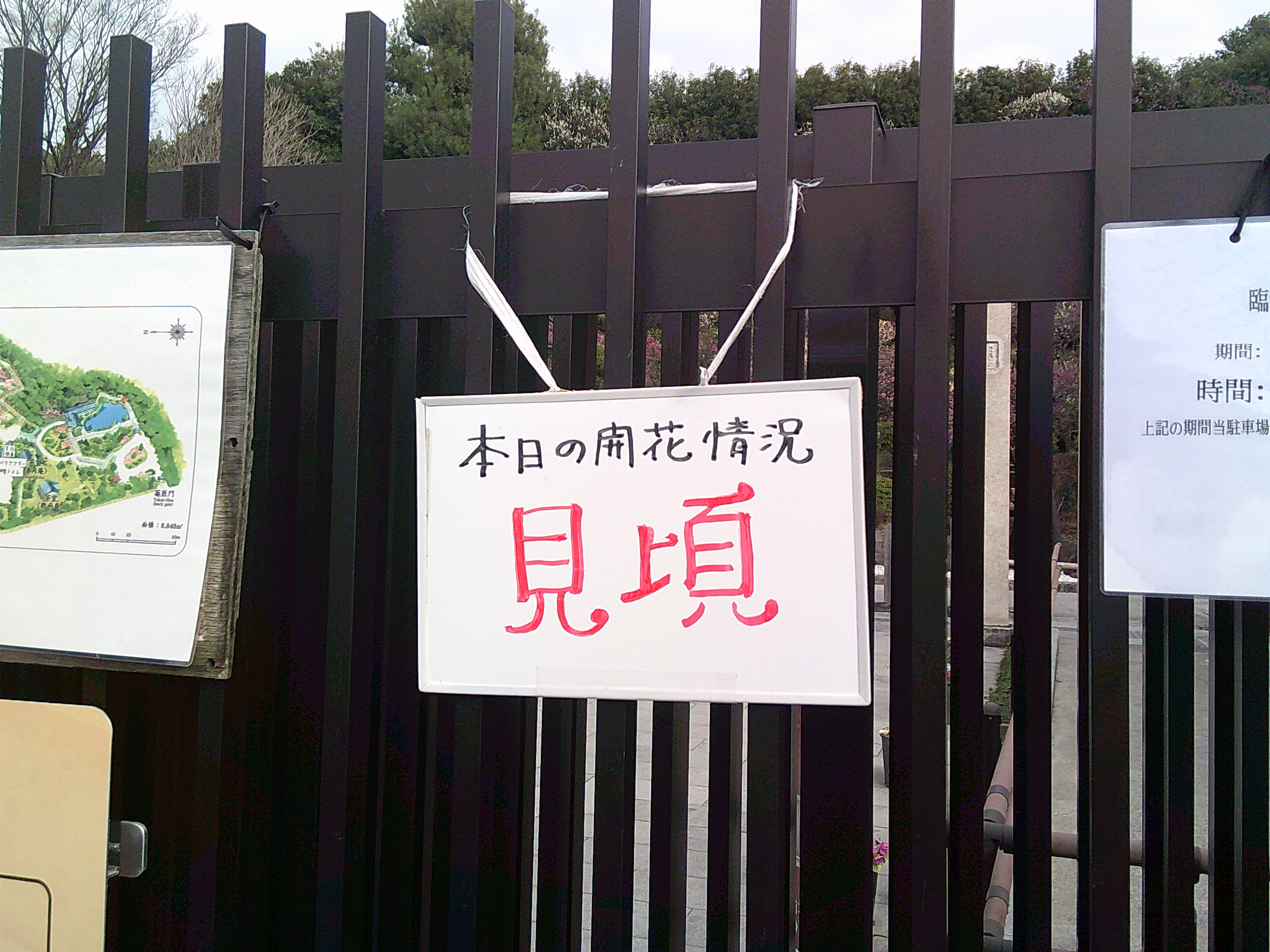 🚌外出レク🚌梅鑑賞📷ＰＡＲＴⅡ