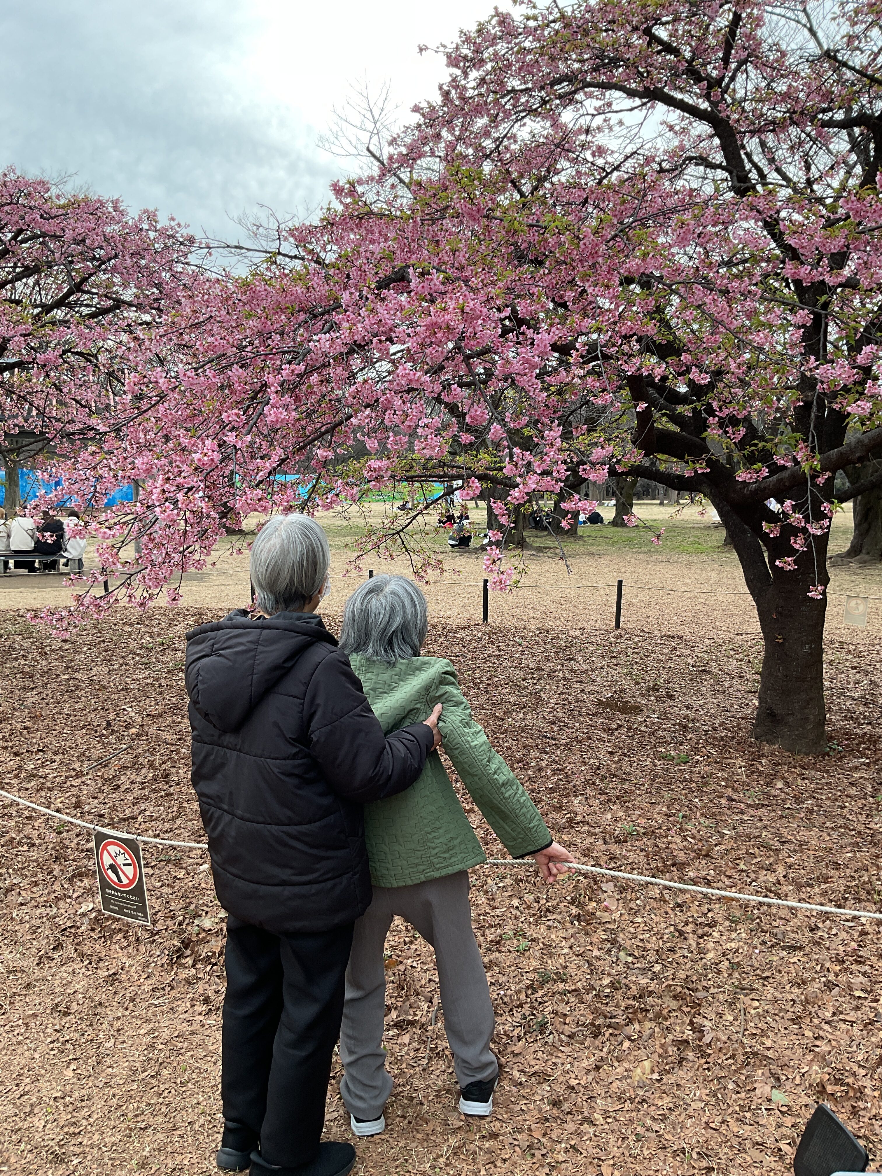 梅の花を観に行ってきました🌸