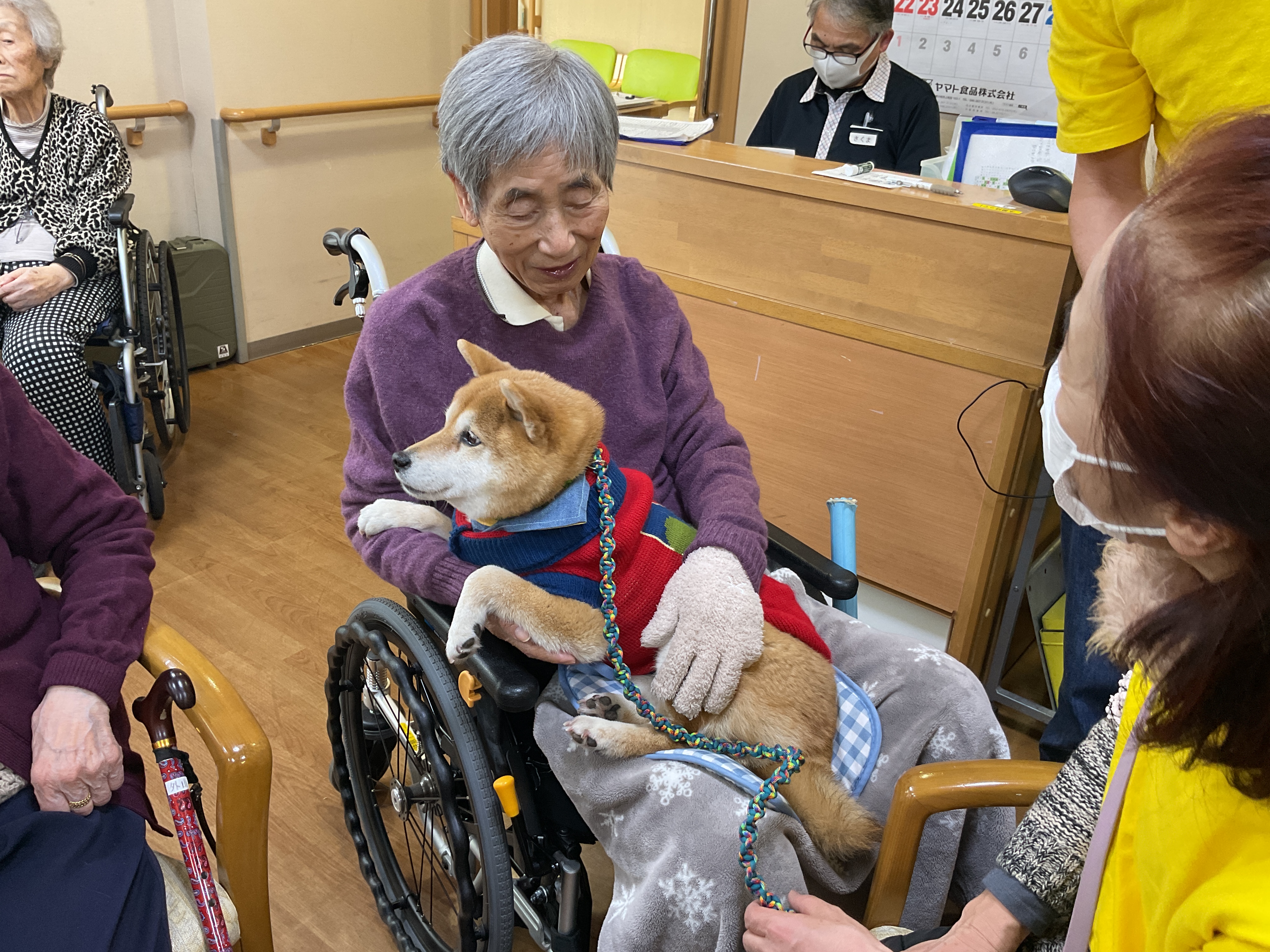 ドックセラピー