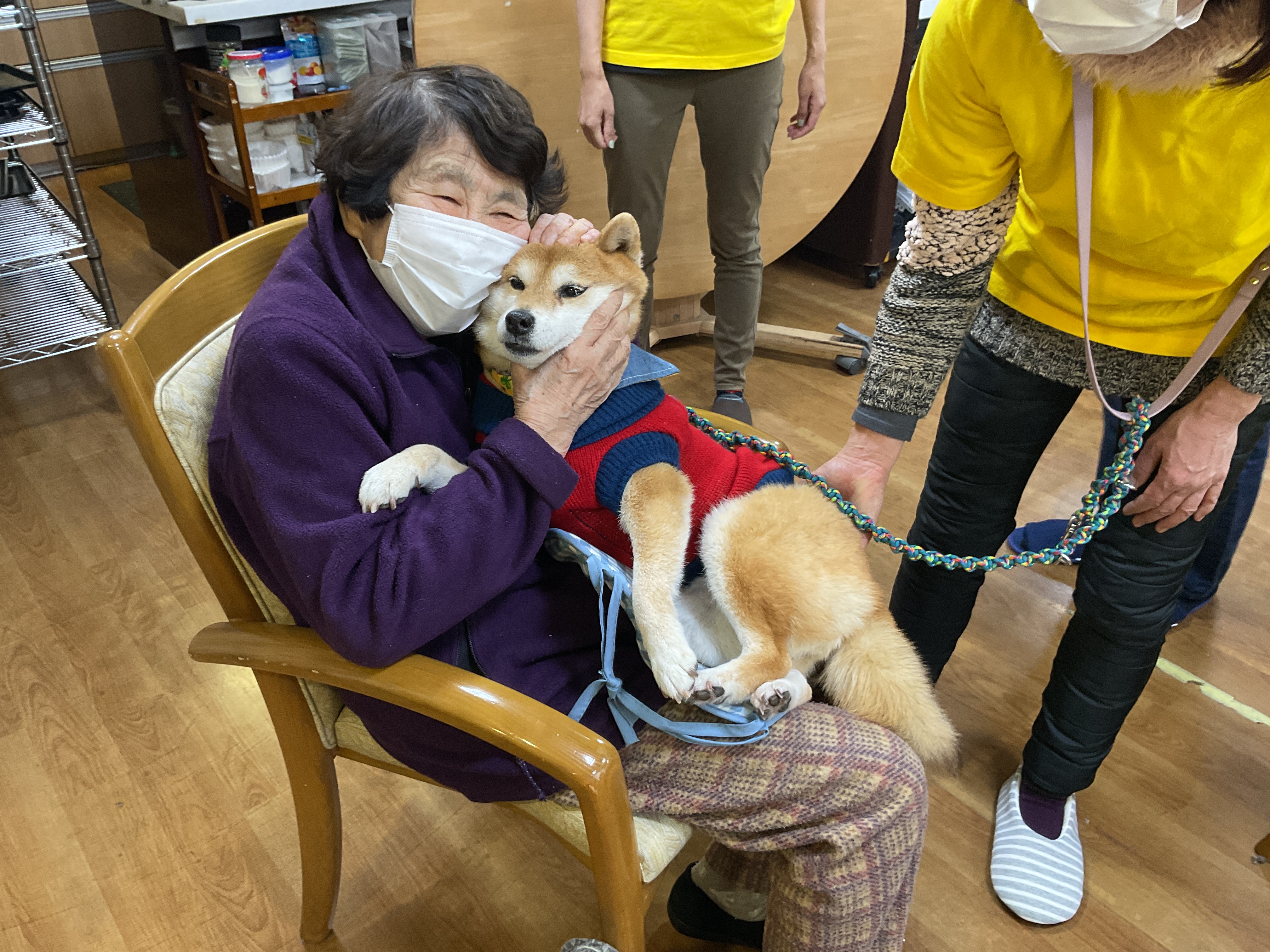 ドックセラピー