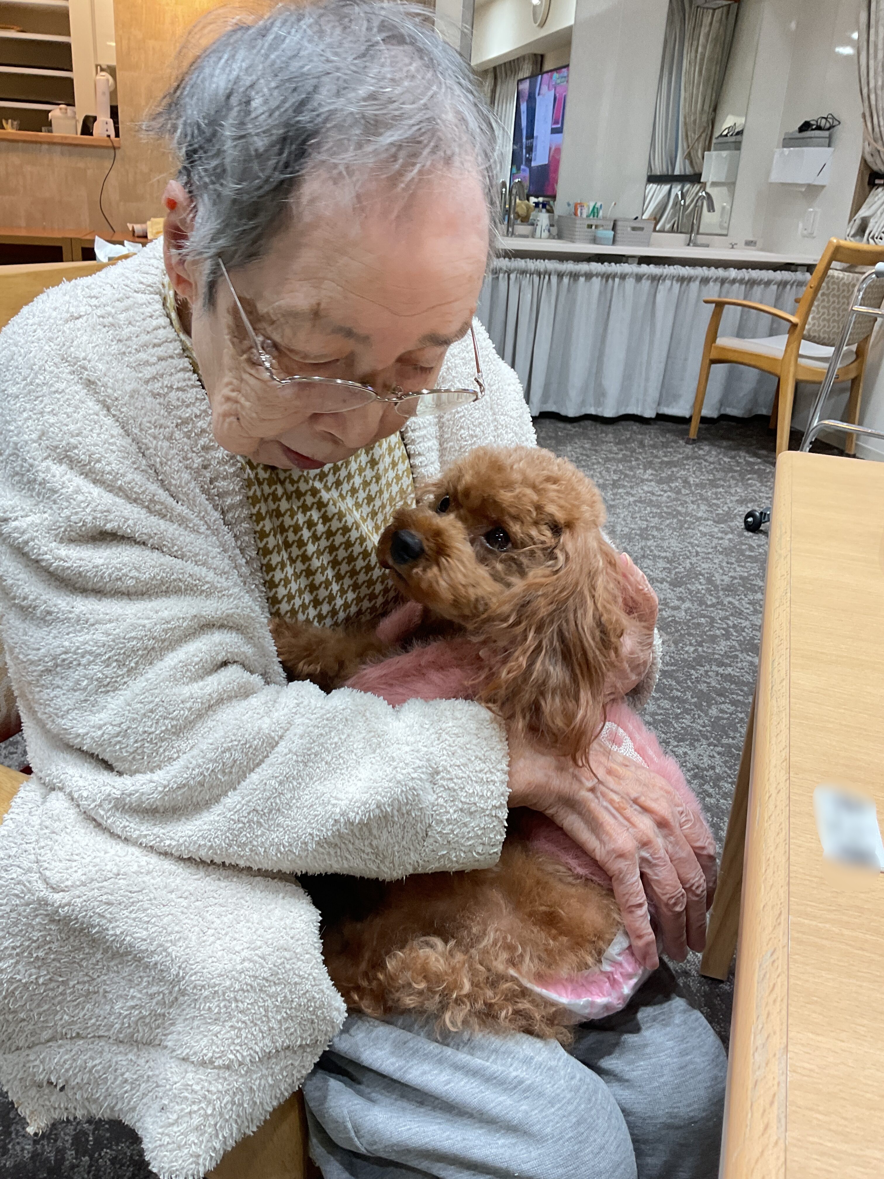 ♡ドッグセラピー♡