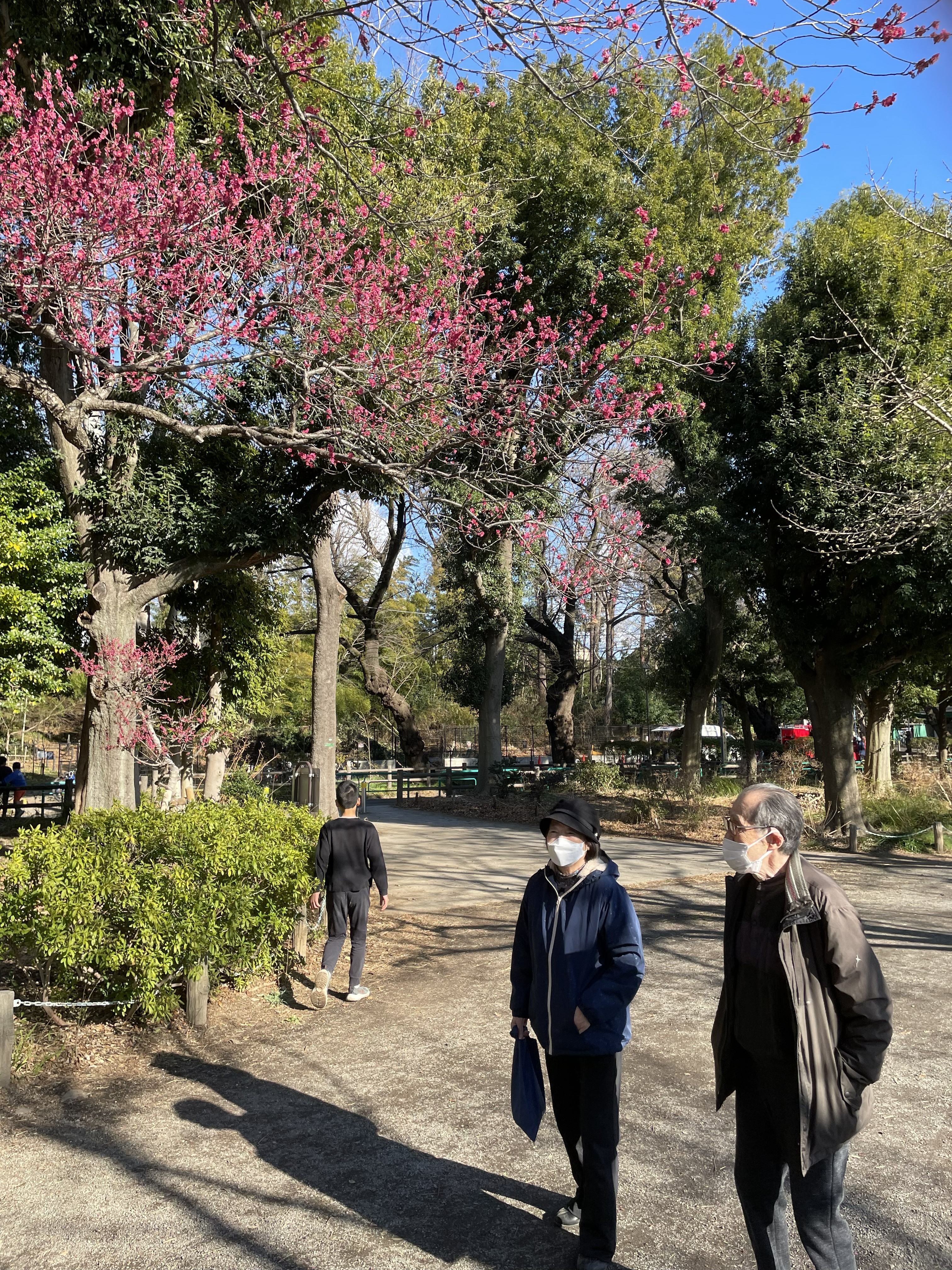 善福寺公園お散歩～2F